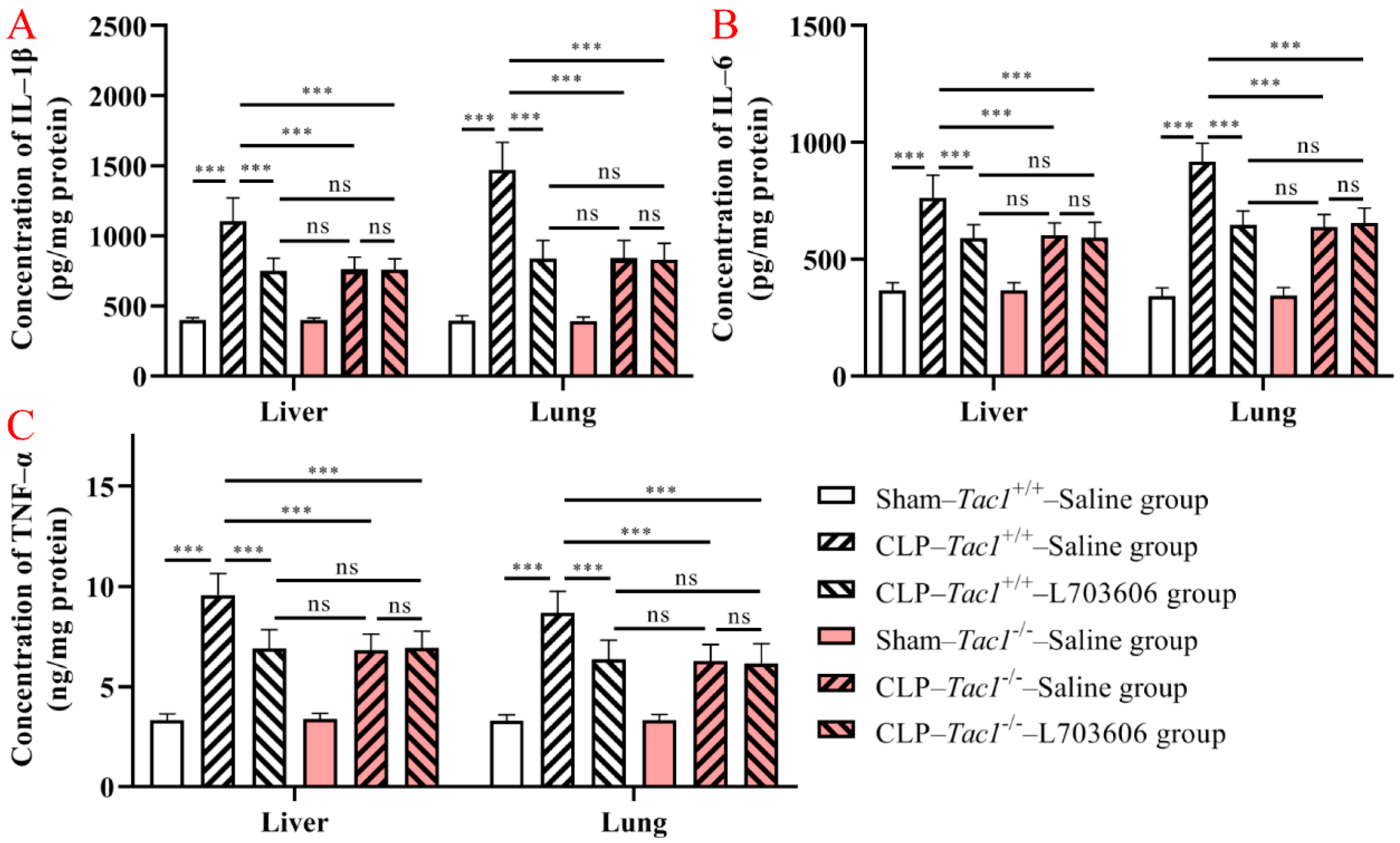Antioxidants 13 00300 g004