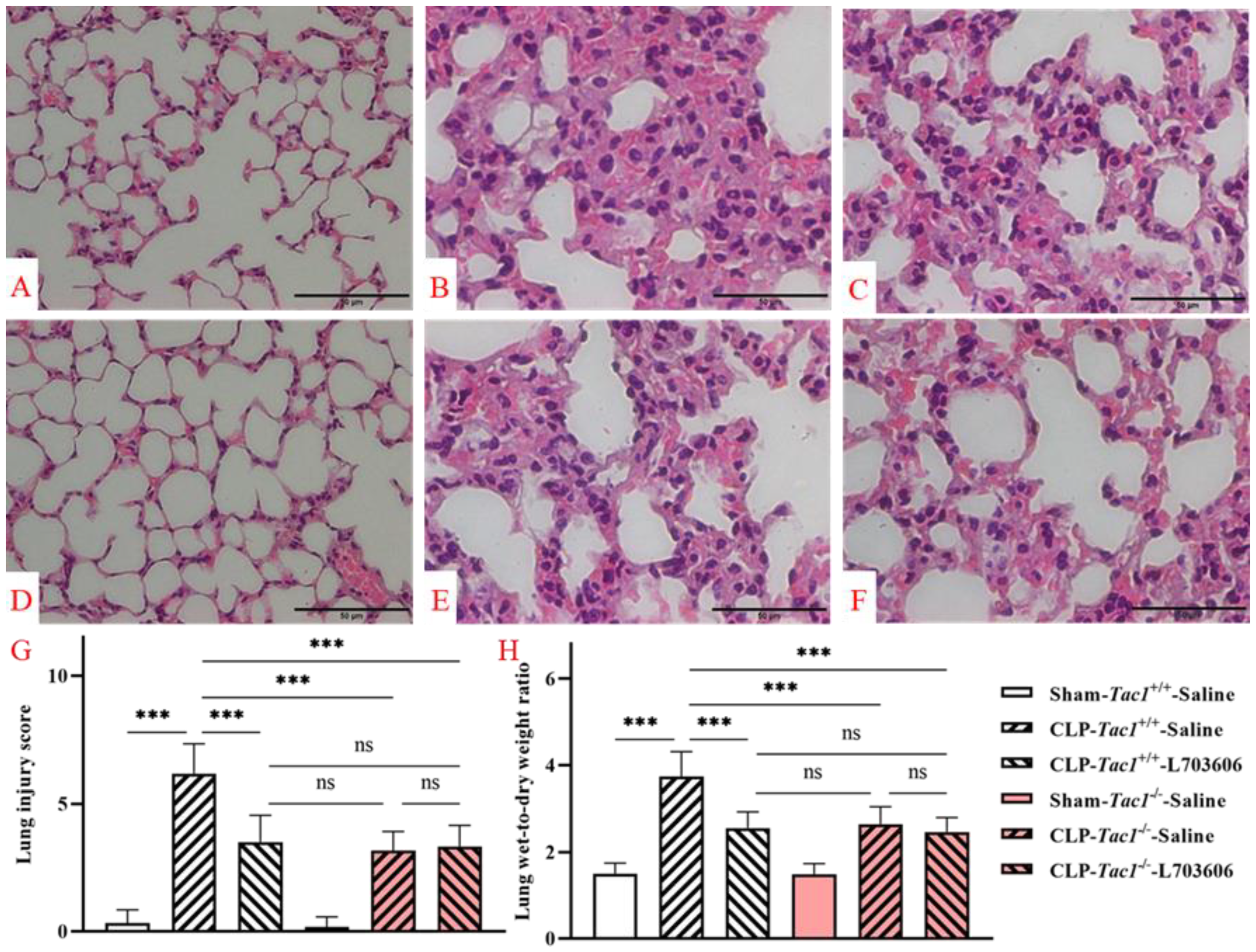 Antioxidants 13 00300 g009