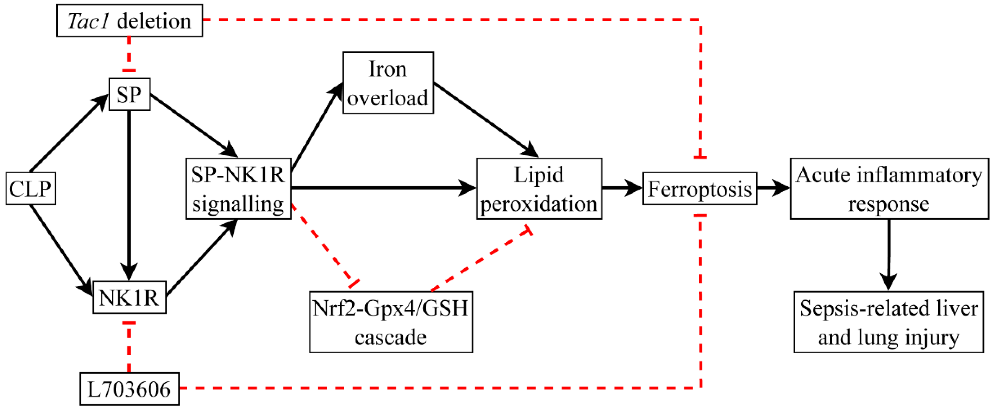Antioxidants 13 00300 g010