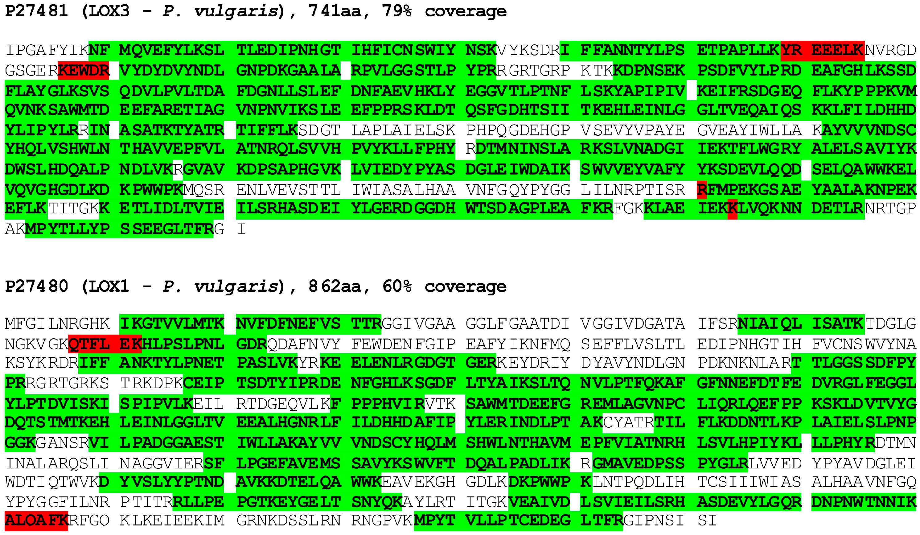 Antioxidants 13 00301 g001