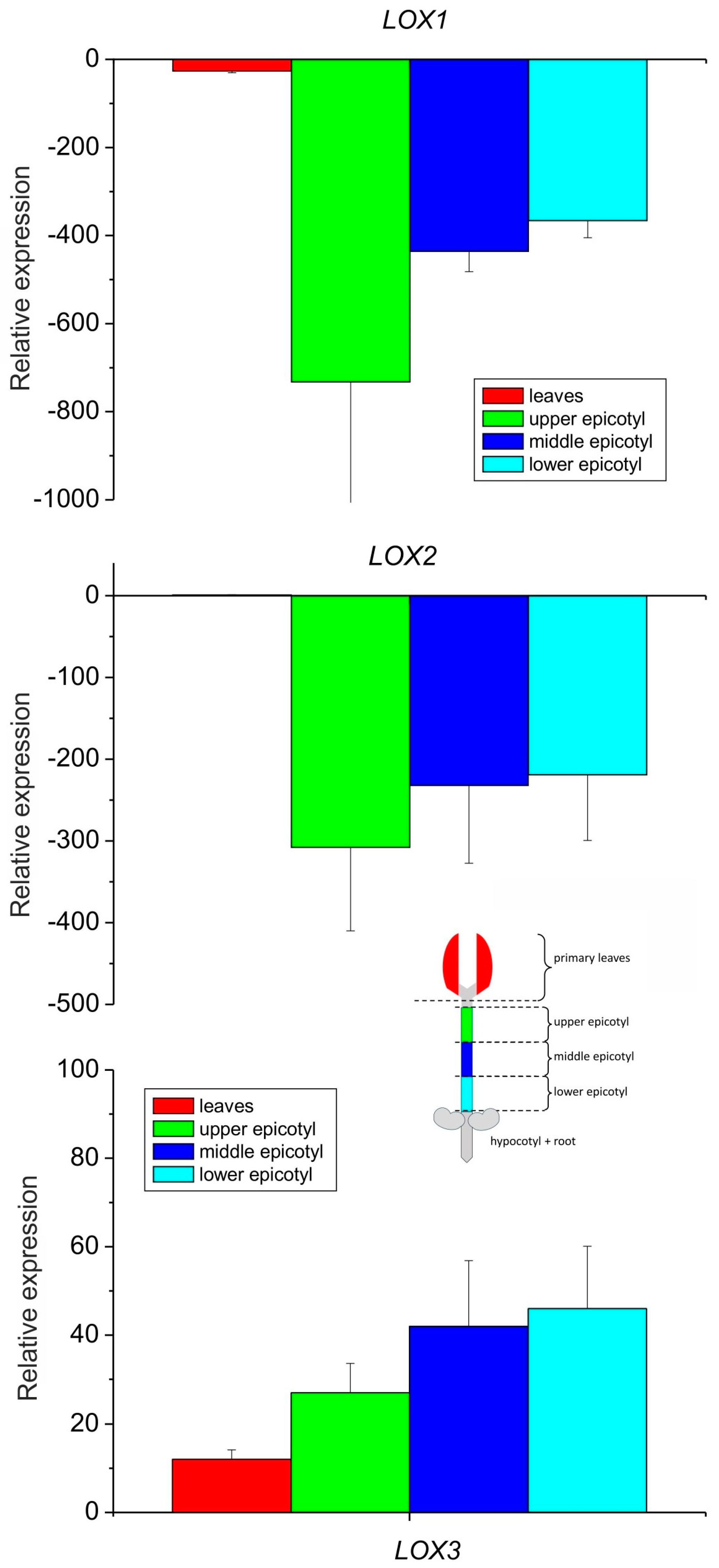Antioxidants 13 00301 g003
