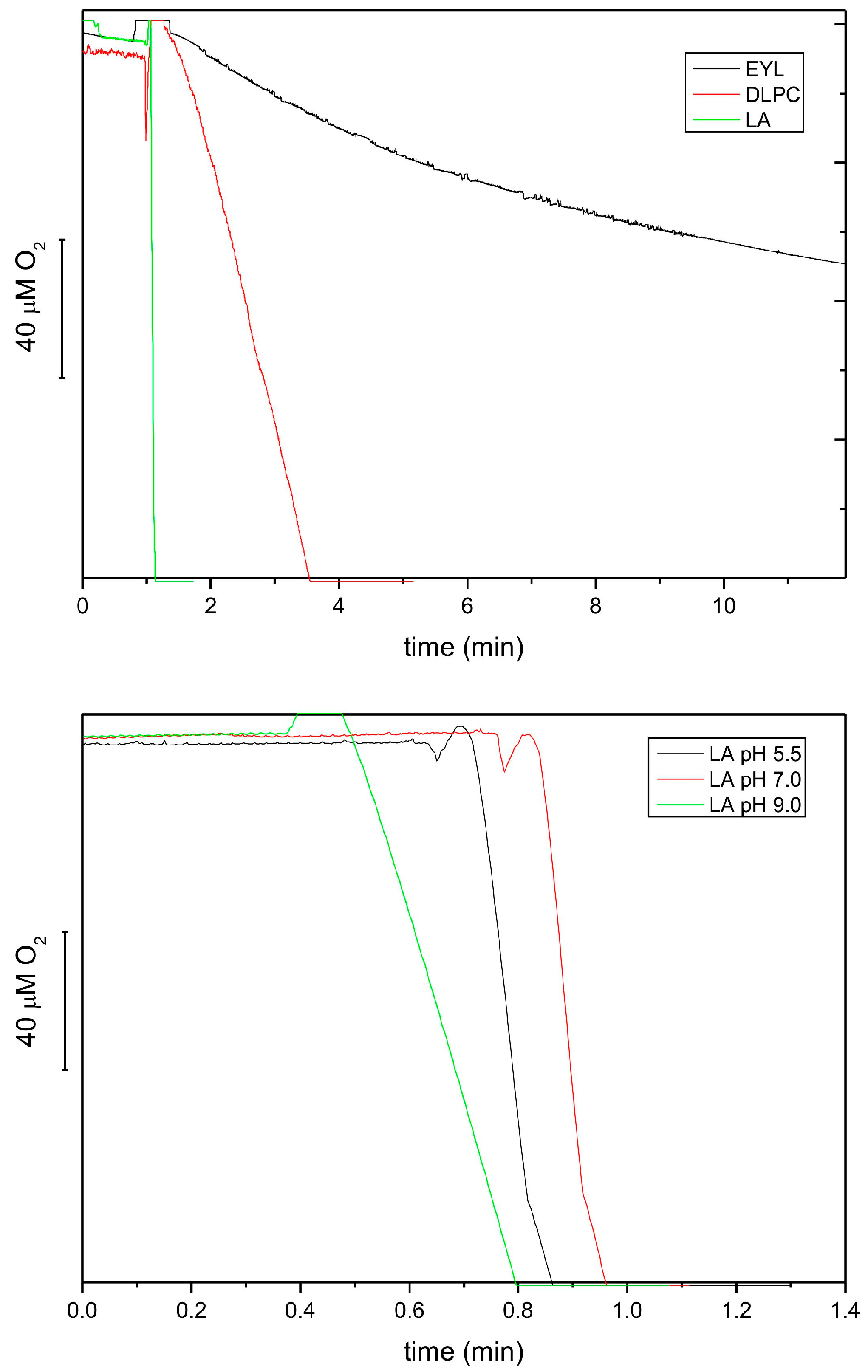 Antioxidants 13 00301 g005