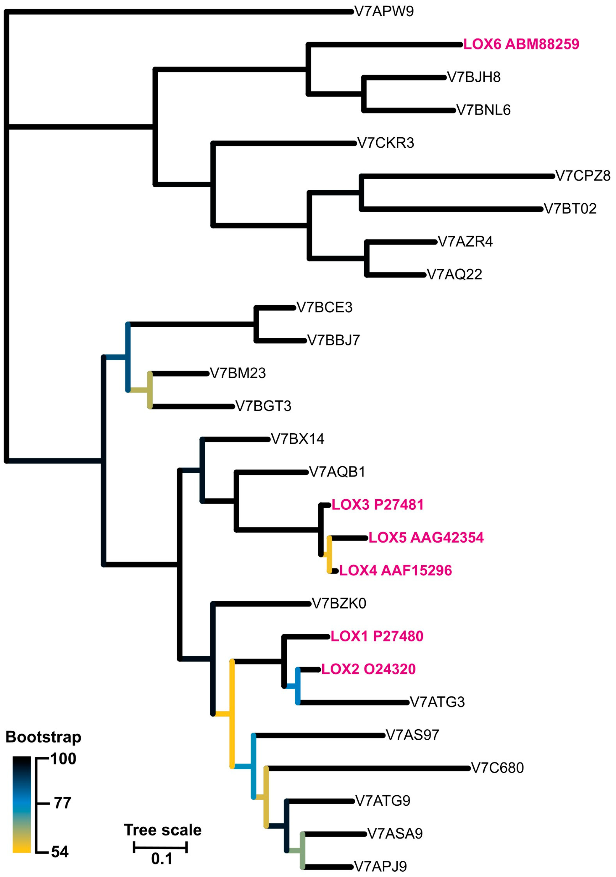 Antioxidants 13 00301 g009