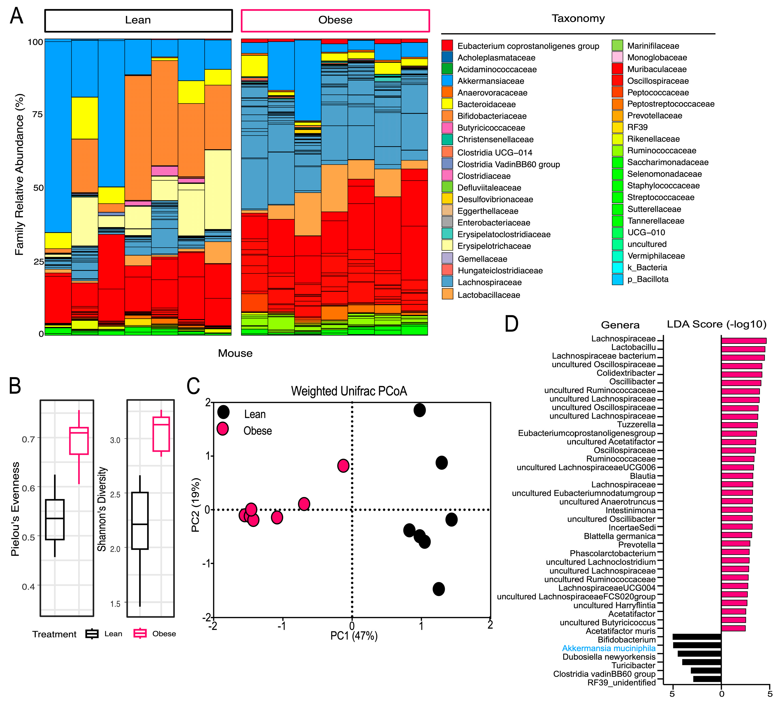 Antioxidants 13 00304 g002