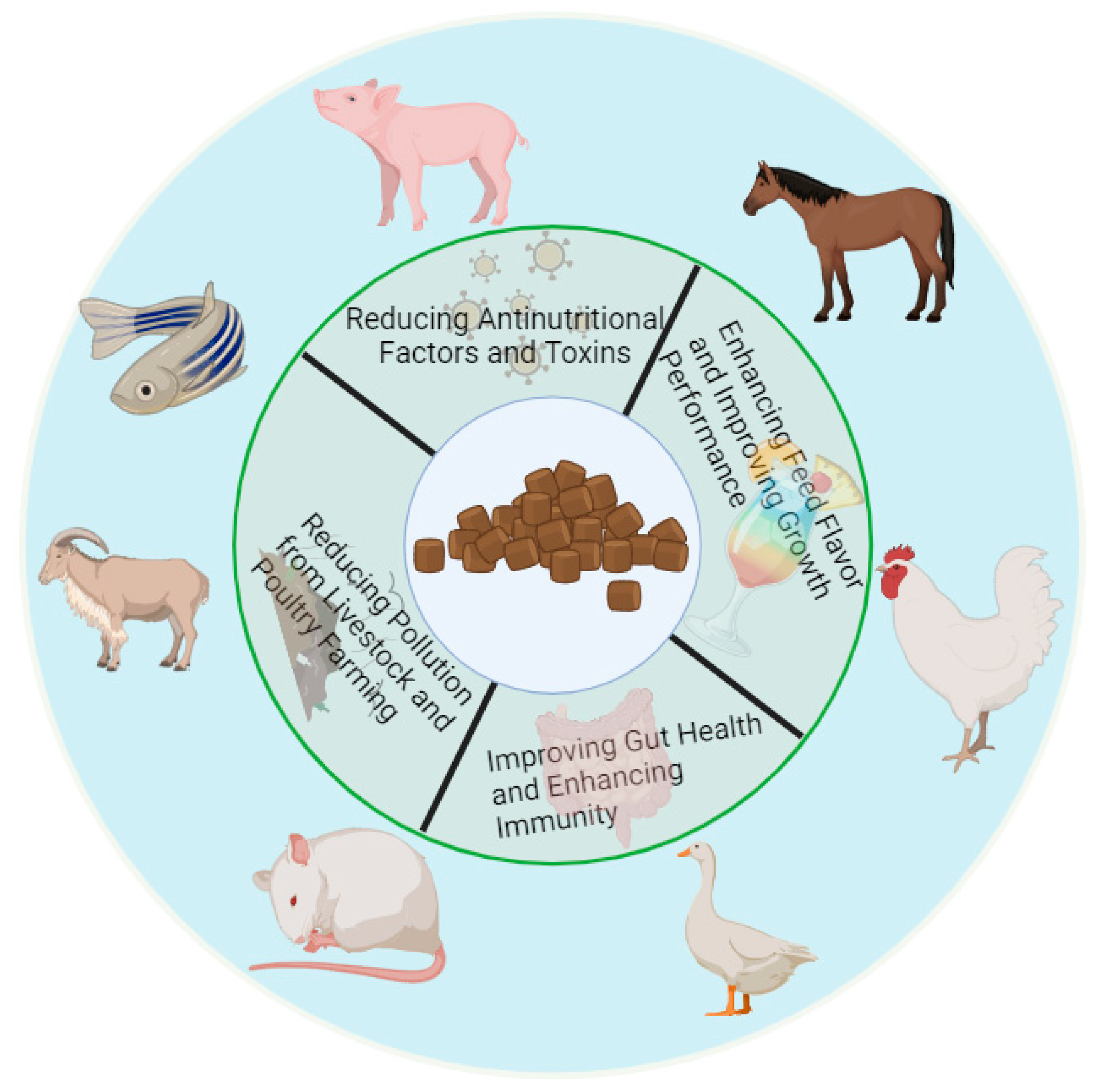 Antioxidants 13 00305 g001