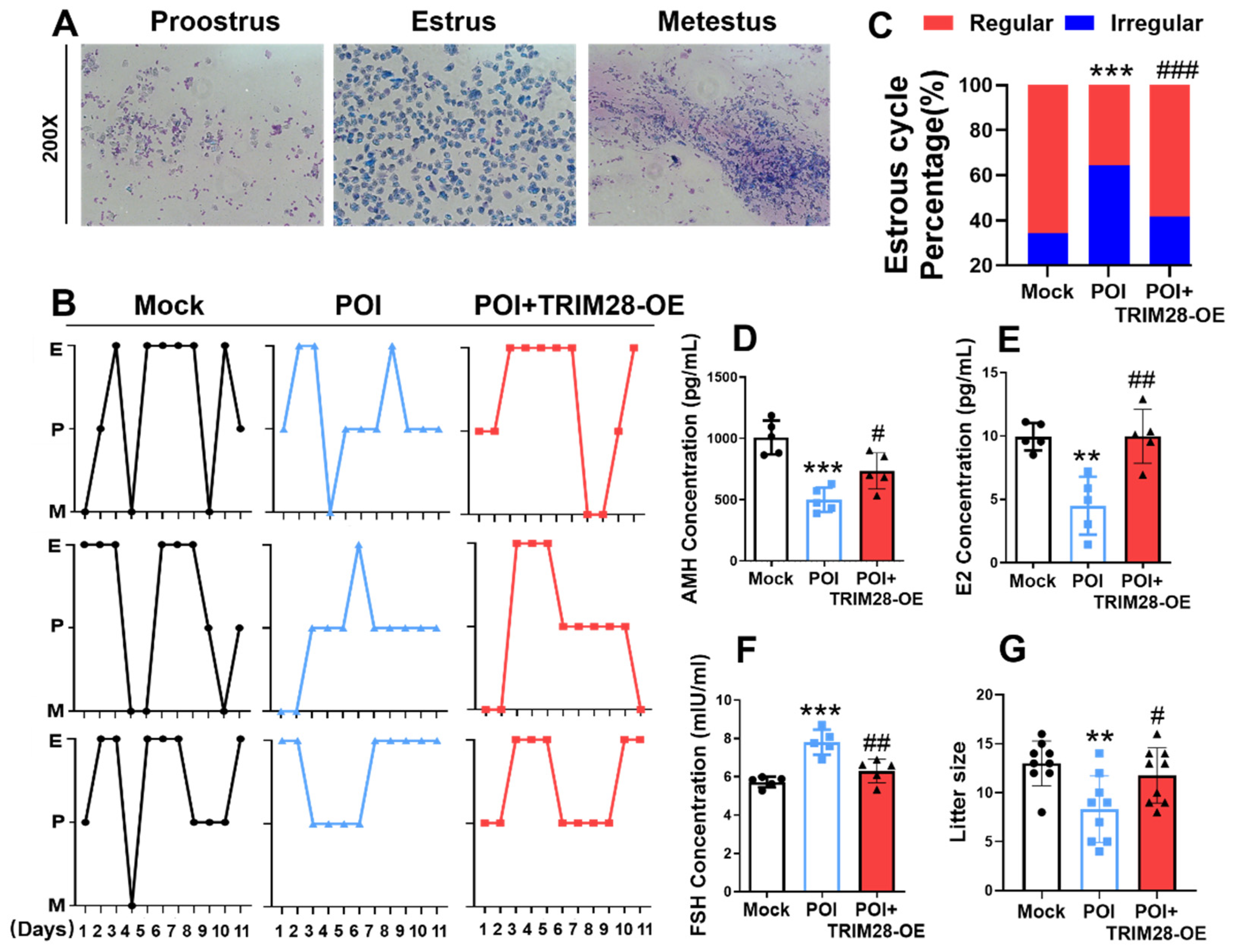Antioxidants 13 00308 g006