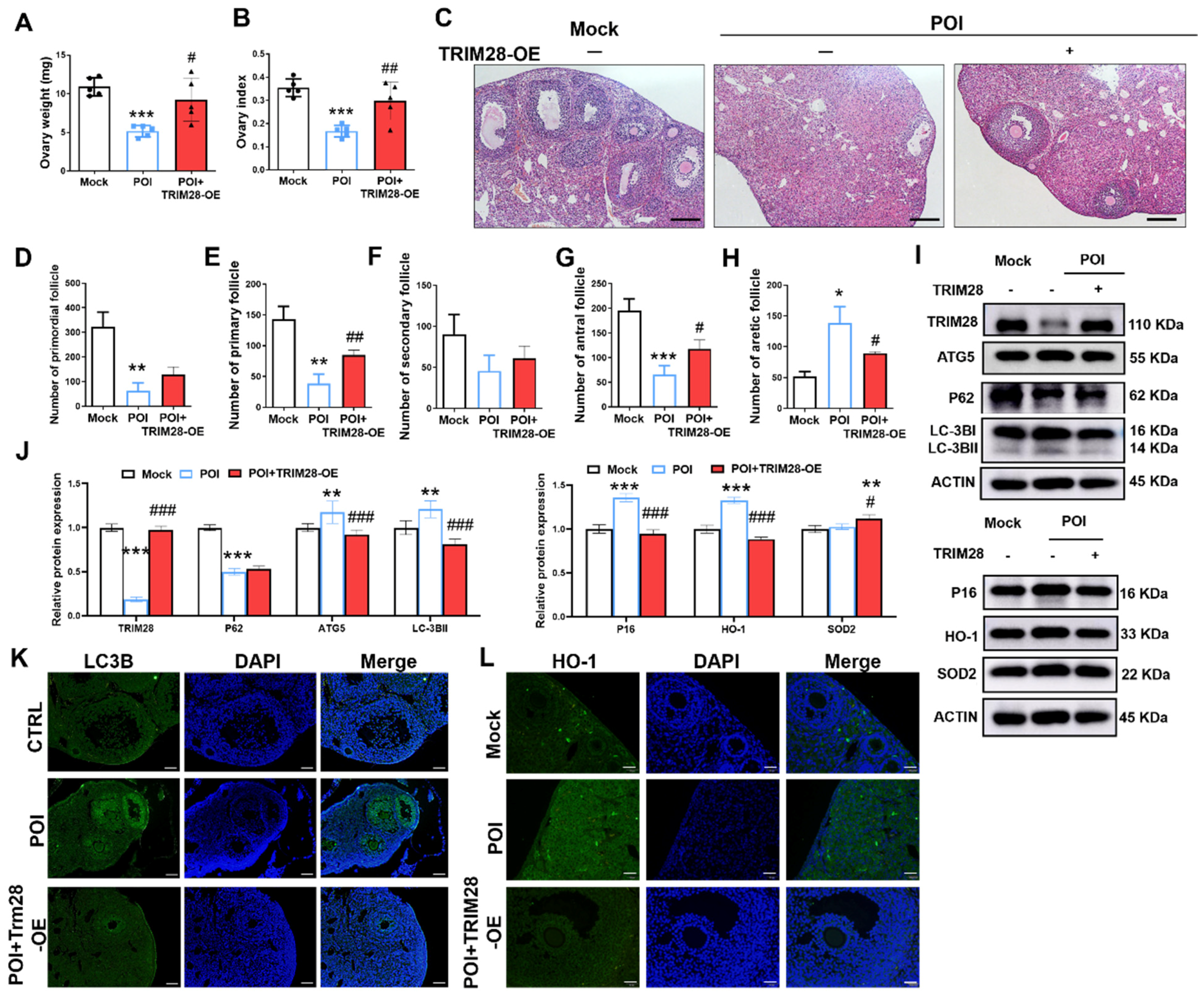 Antioxidants 13 00308 g007