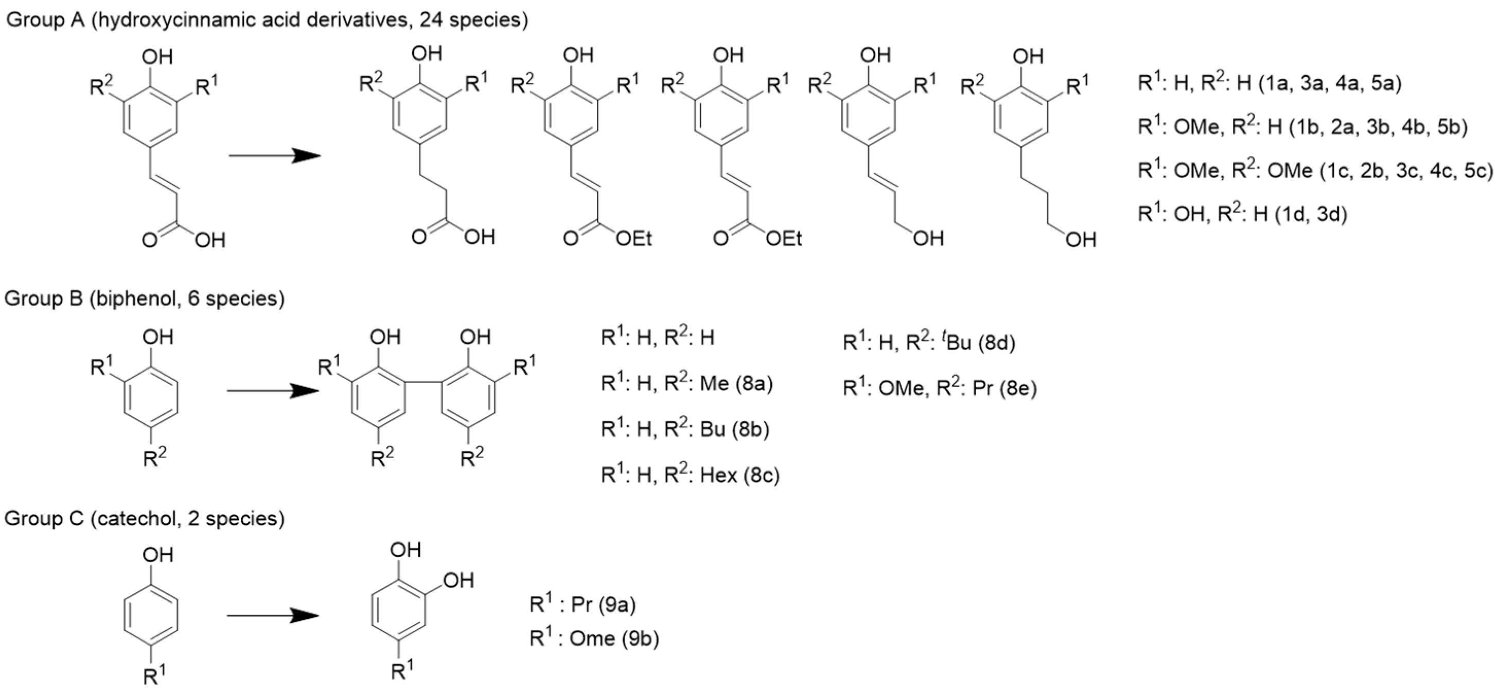 Antioxidants 13 00309 g003
