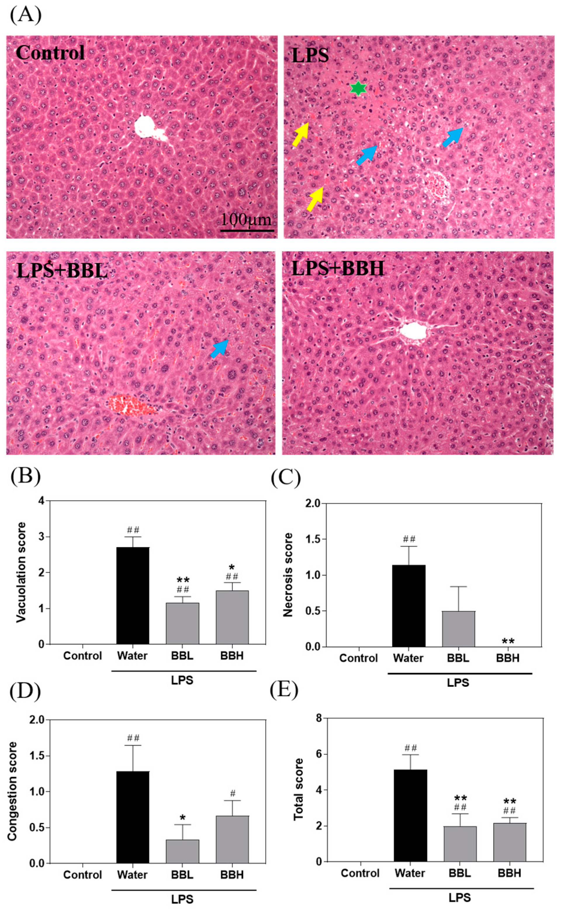 Antioxidants 13 00311 g002