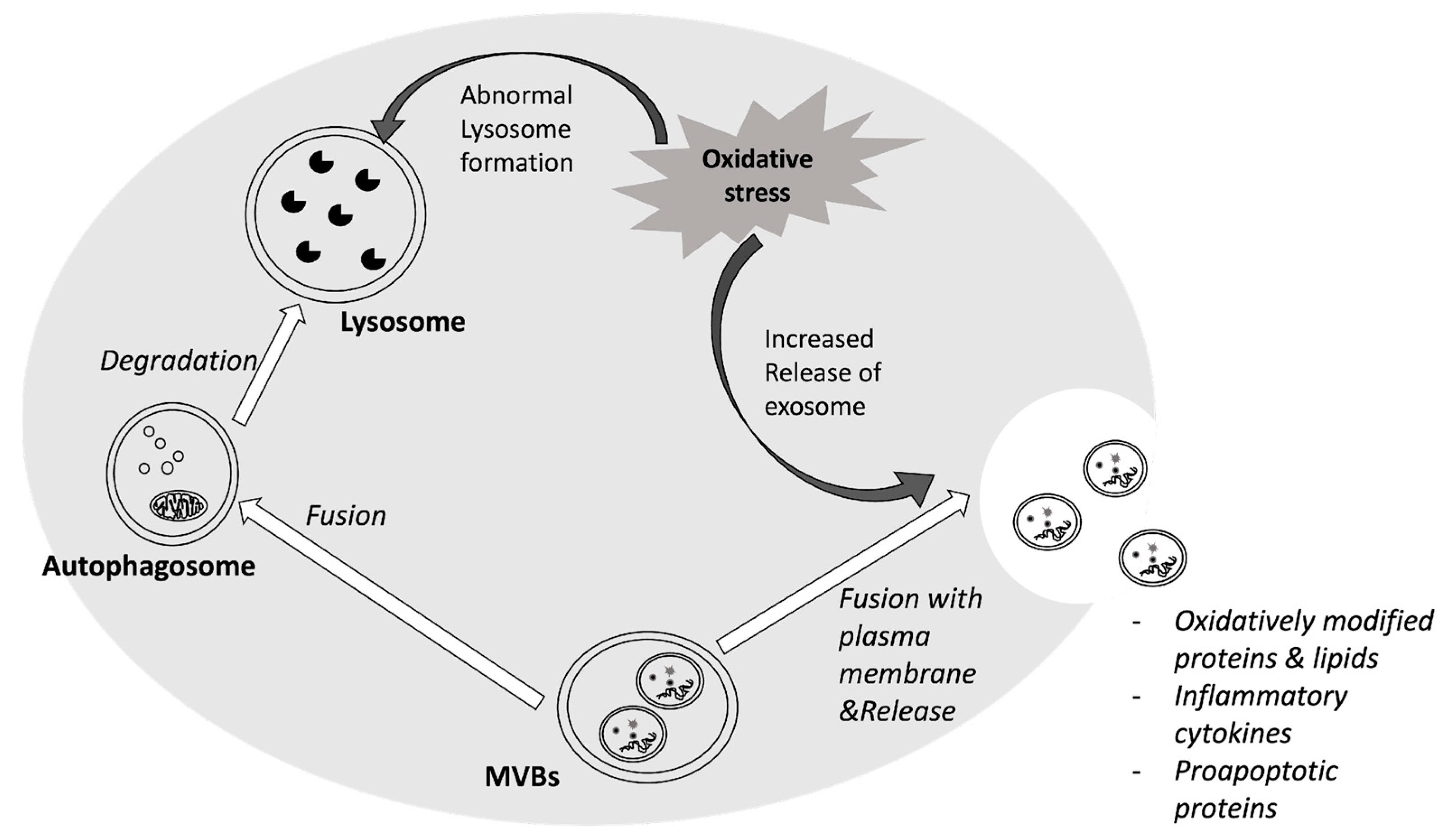 Antioxidants 13 00316 g001