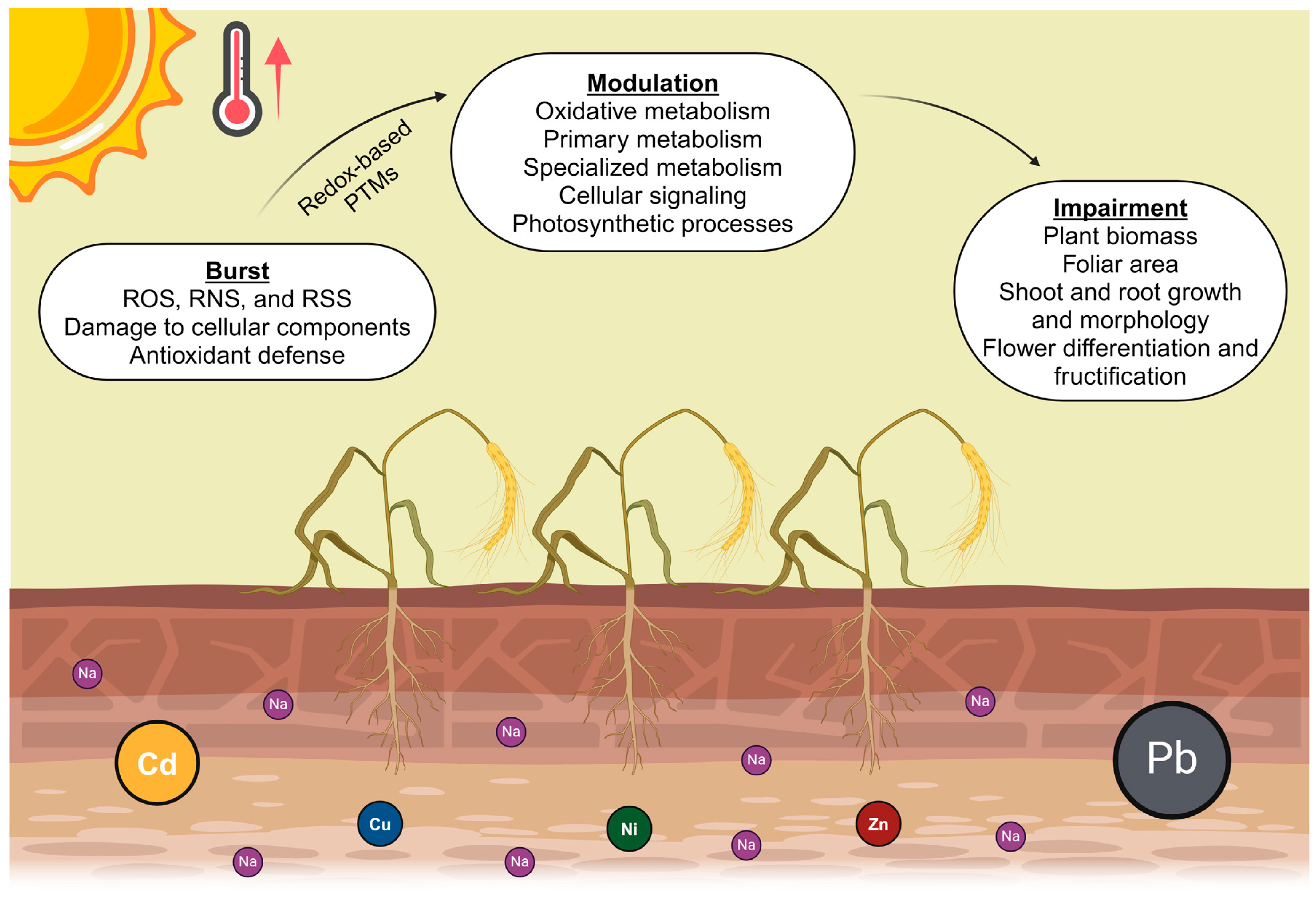Antioxidants 13 00318 g001