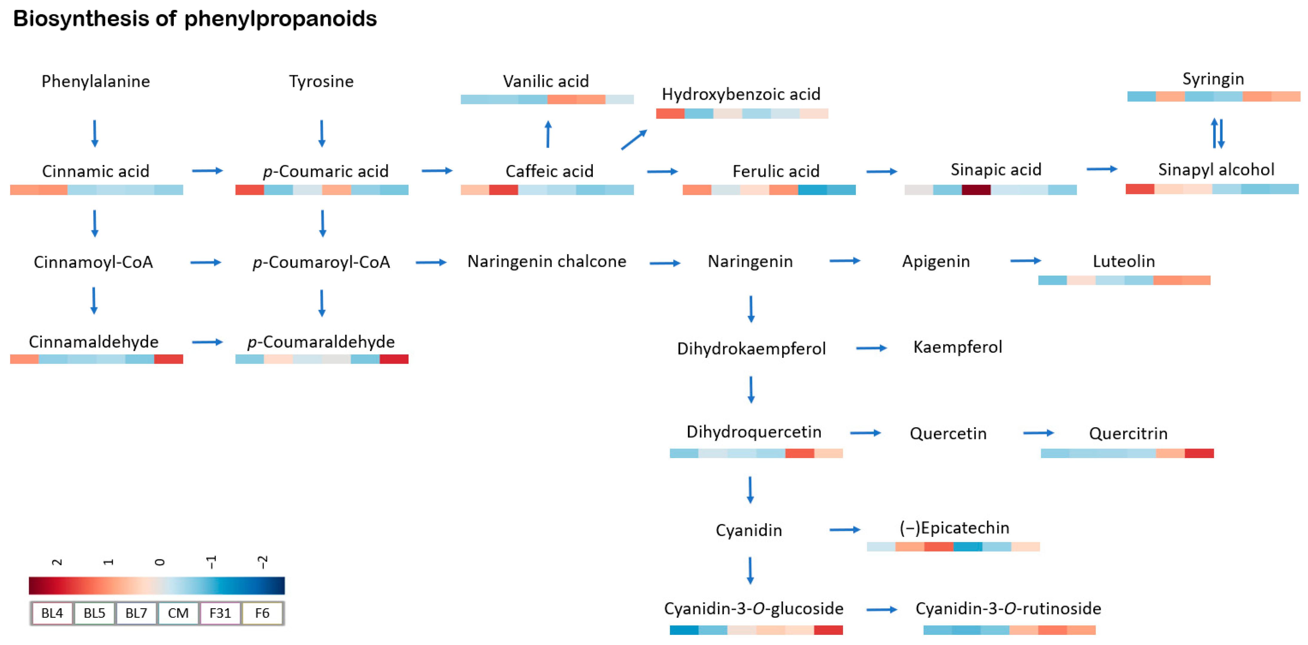 Antioxidants 13 00319 g005
