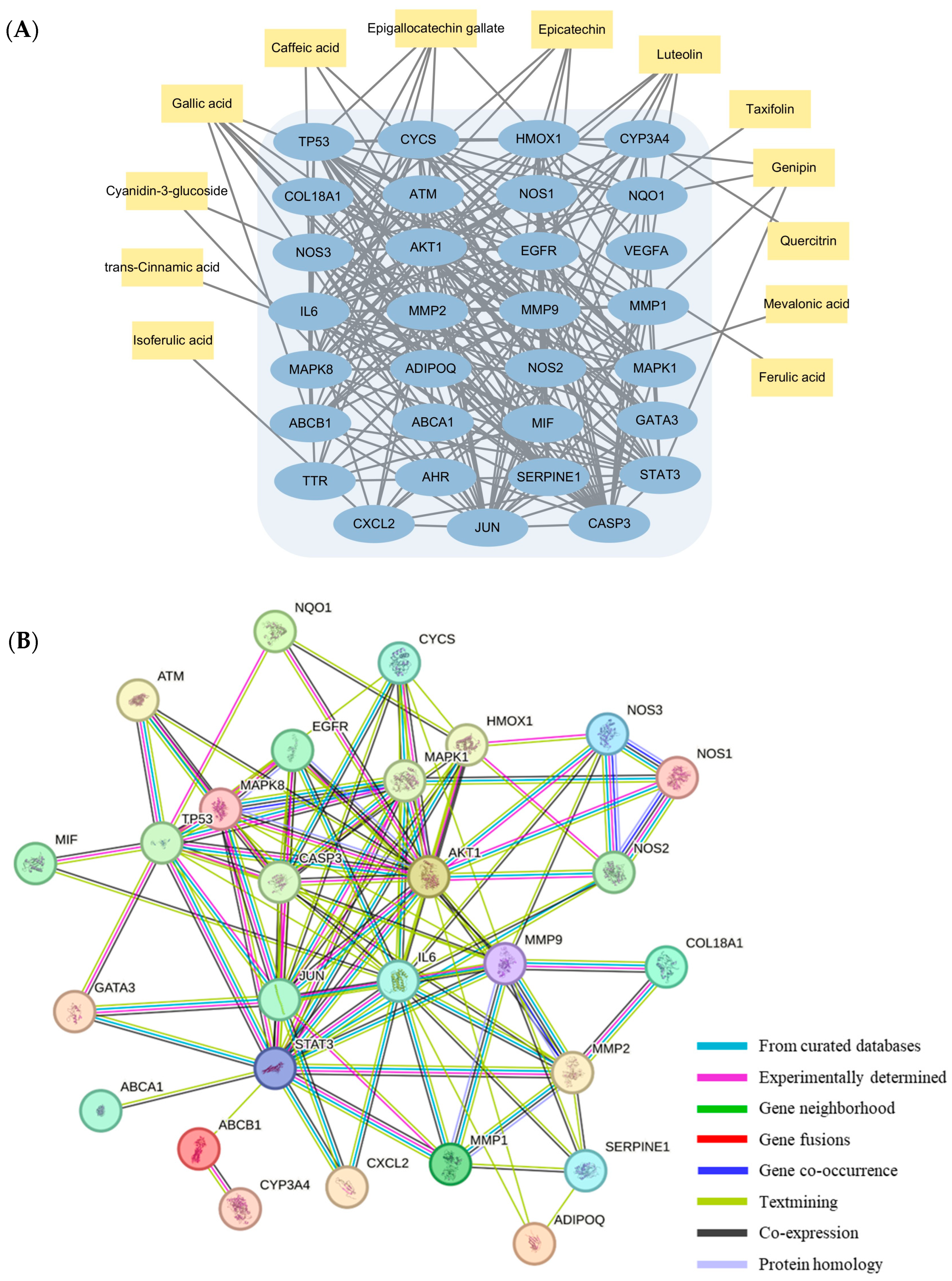 Antioxidants 13 00319 g006
