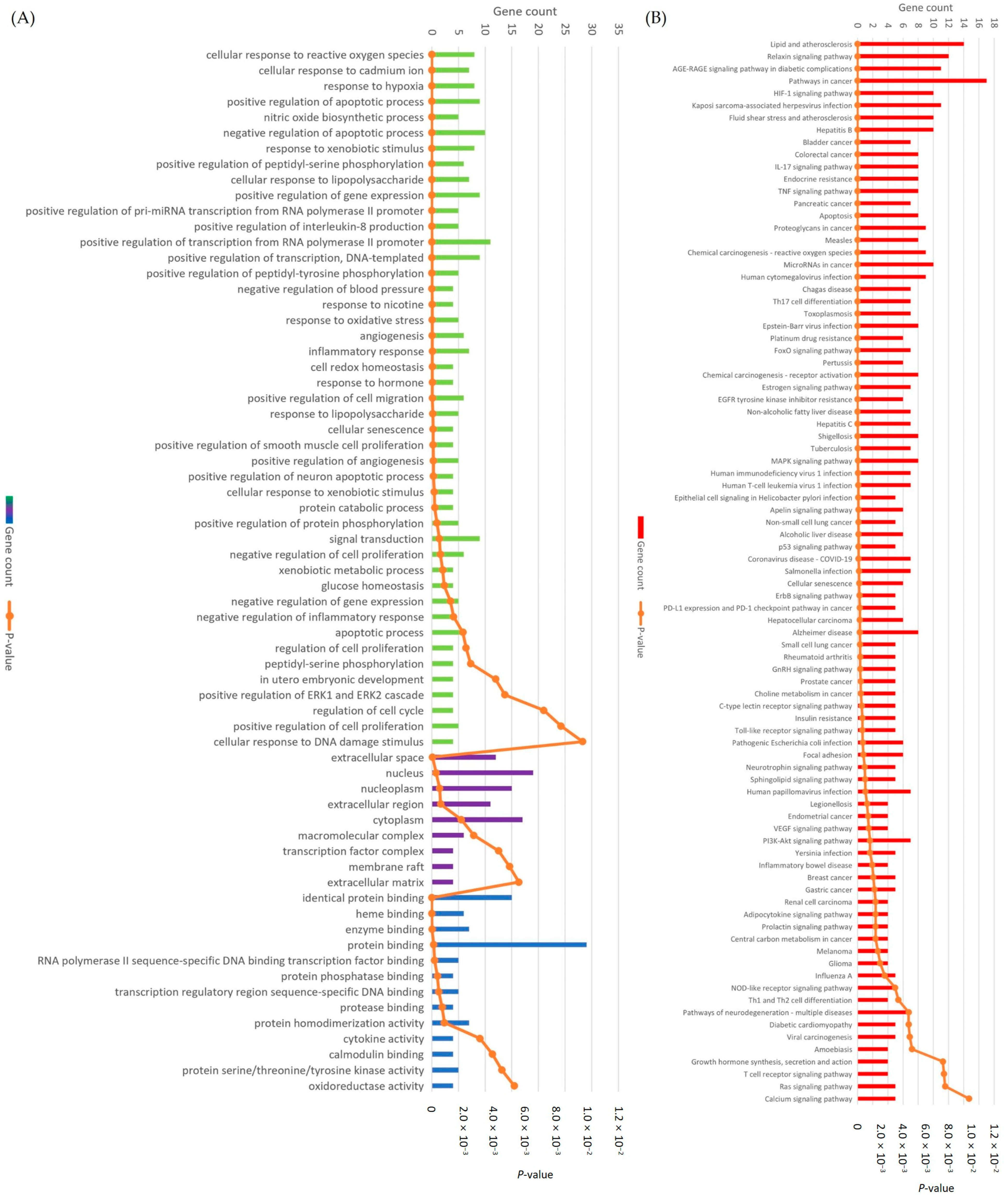 Antioxidants 13 00319 g007