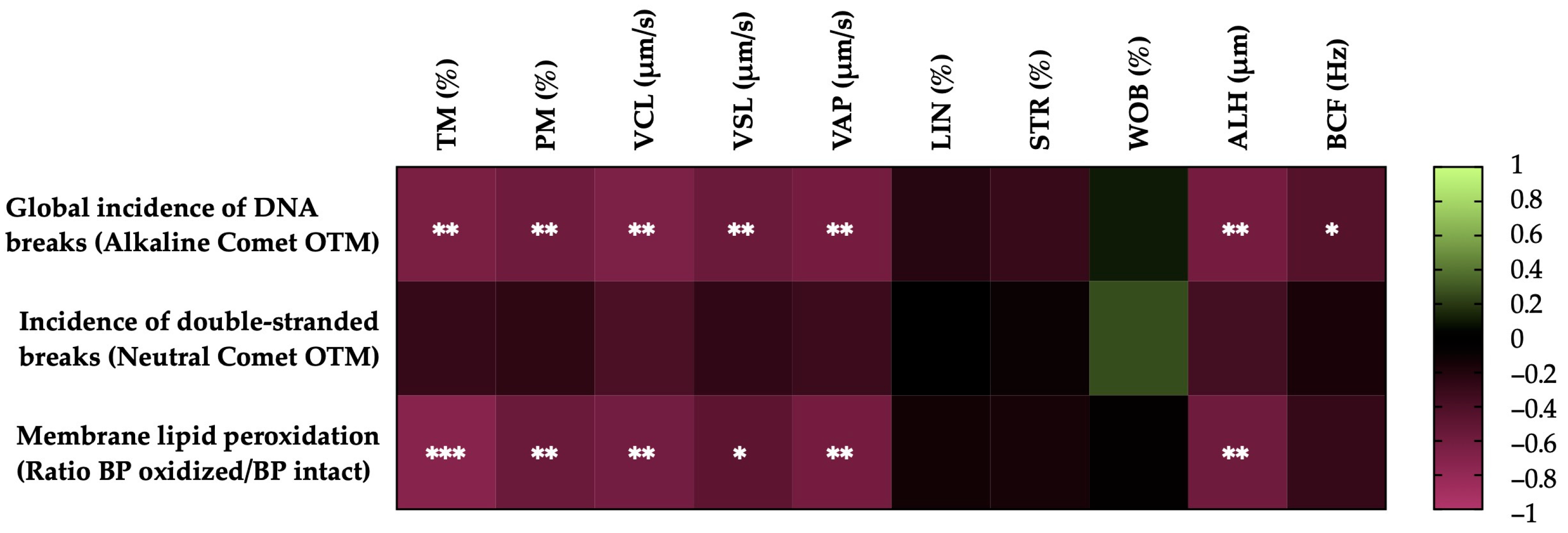 Antioxidants 13 00322 g004