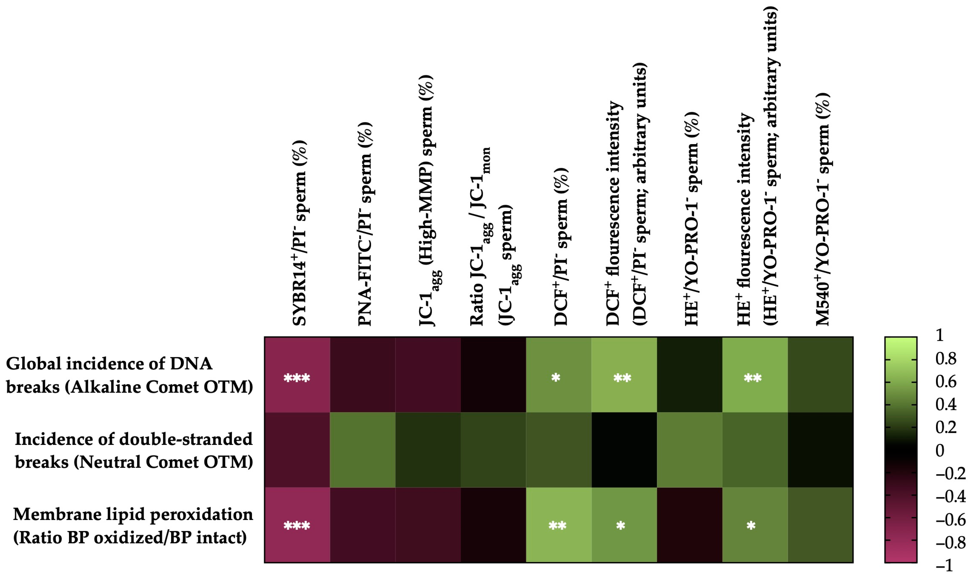 Antioxidants 13 00322 g005