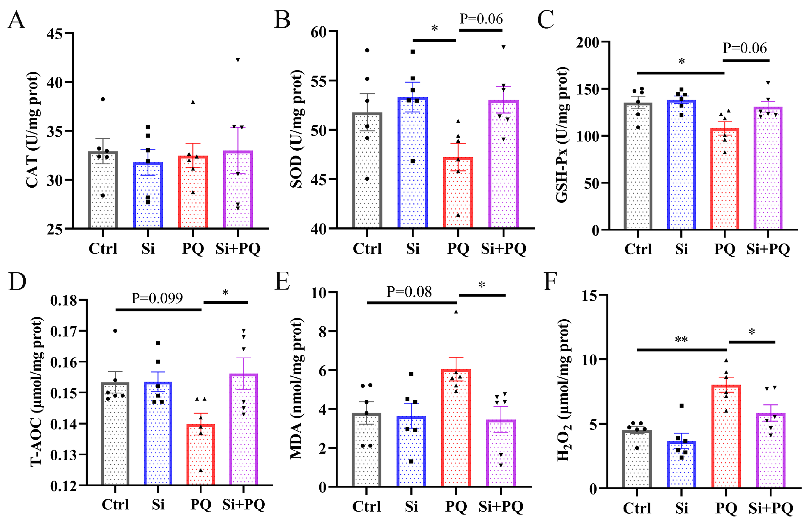 Antioxidants 13 00324 g002