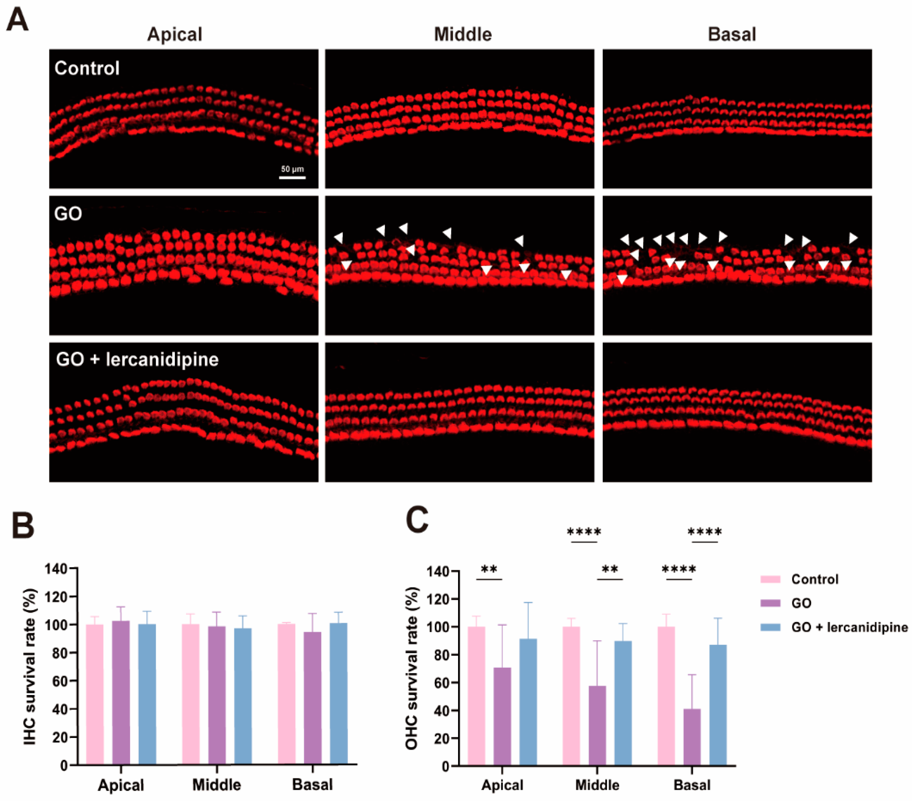 Antioxidants 13 00327 g002