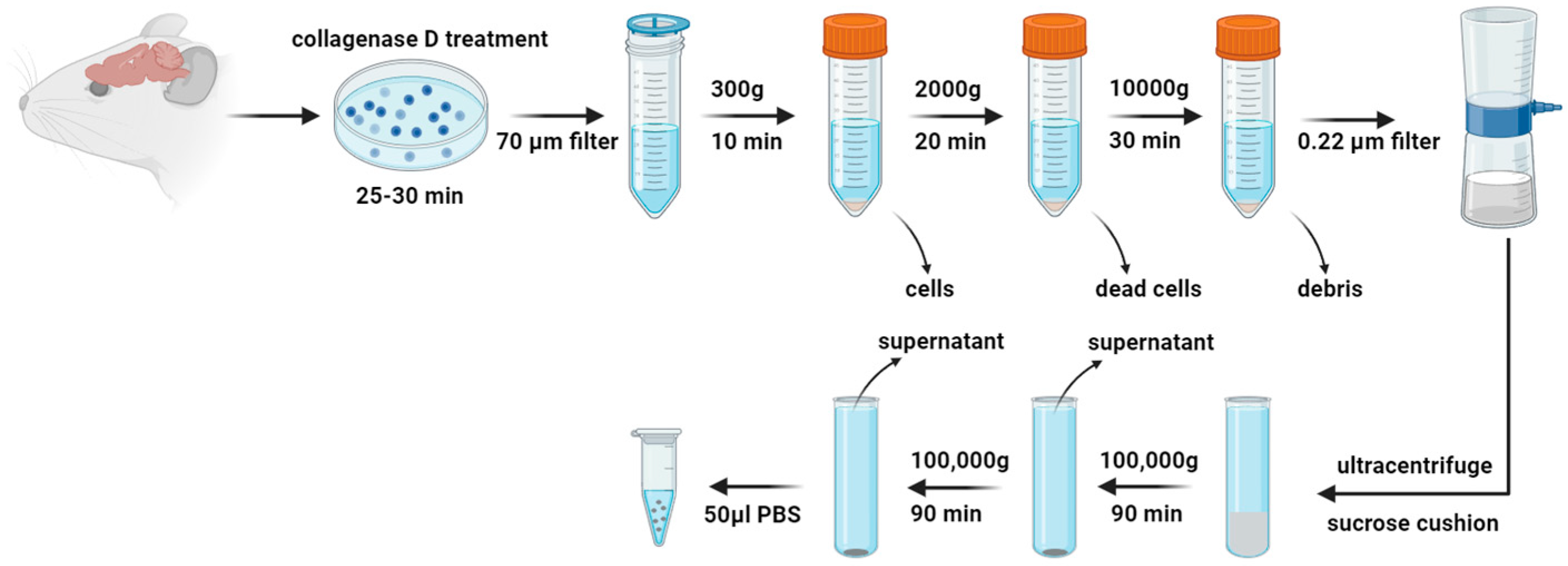 Antioxidants 13 00328 g001