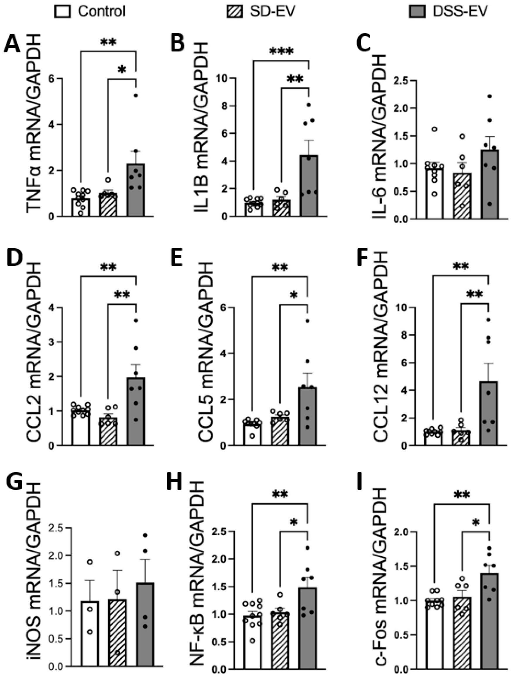 Antioxidants 13 00328 g004