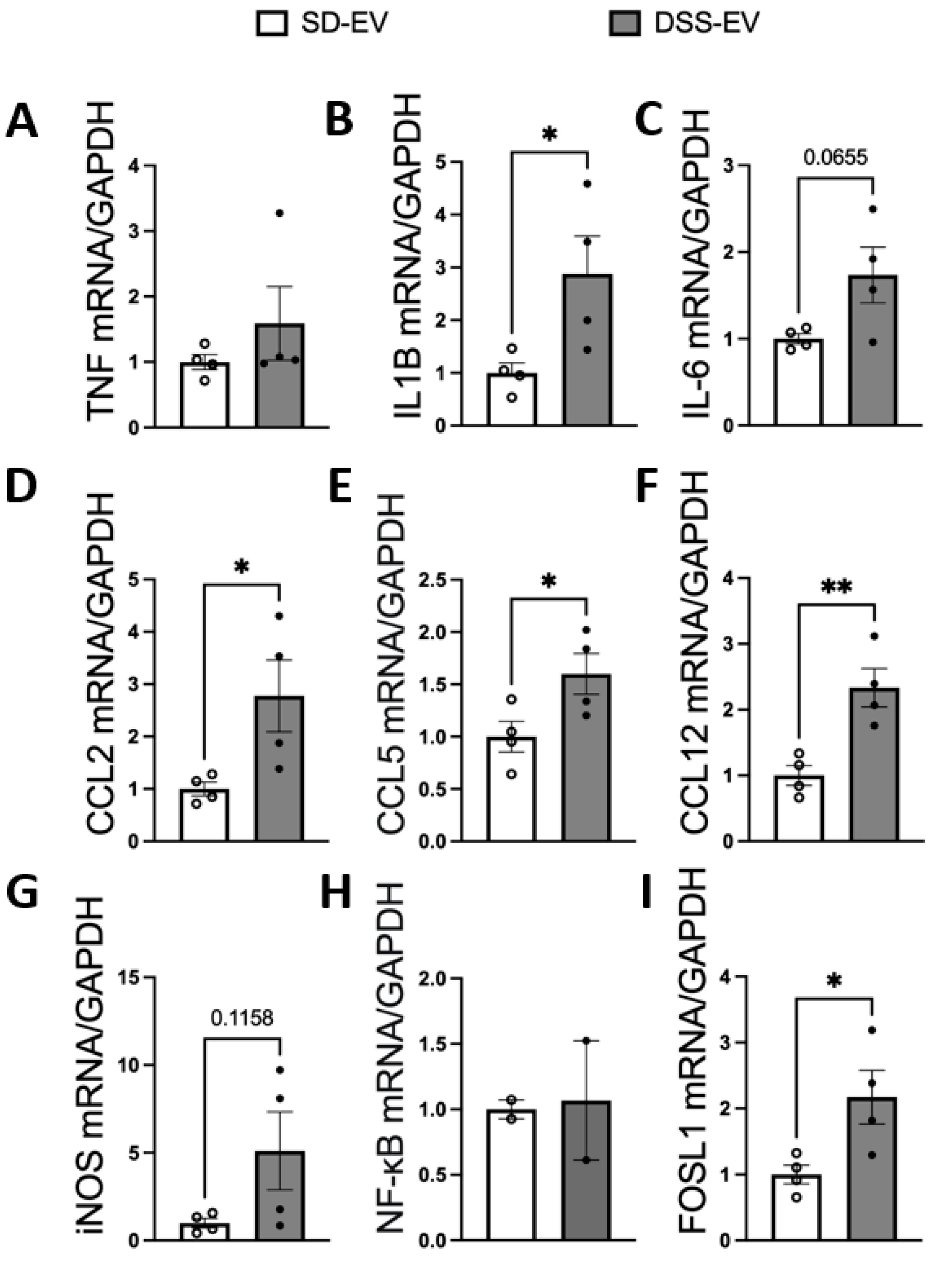 Antioxidants 13 00328 g008