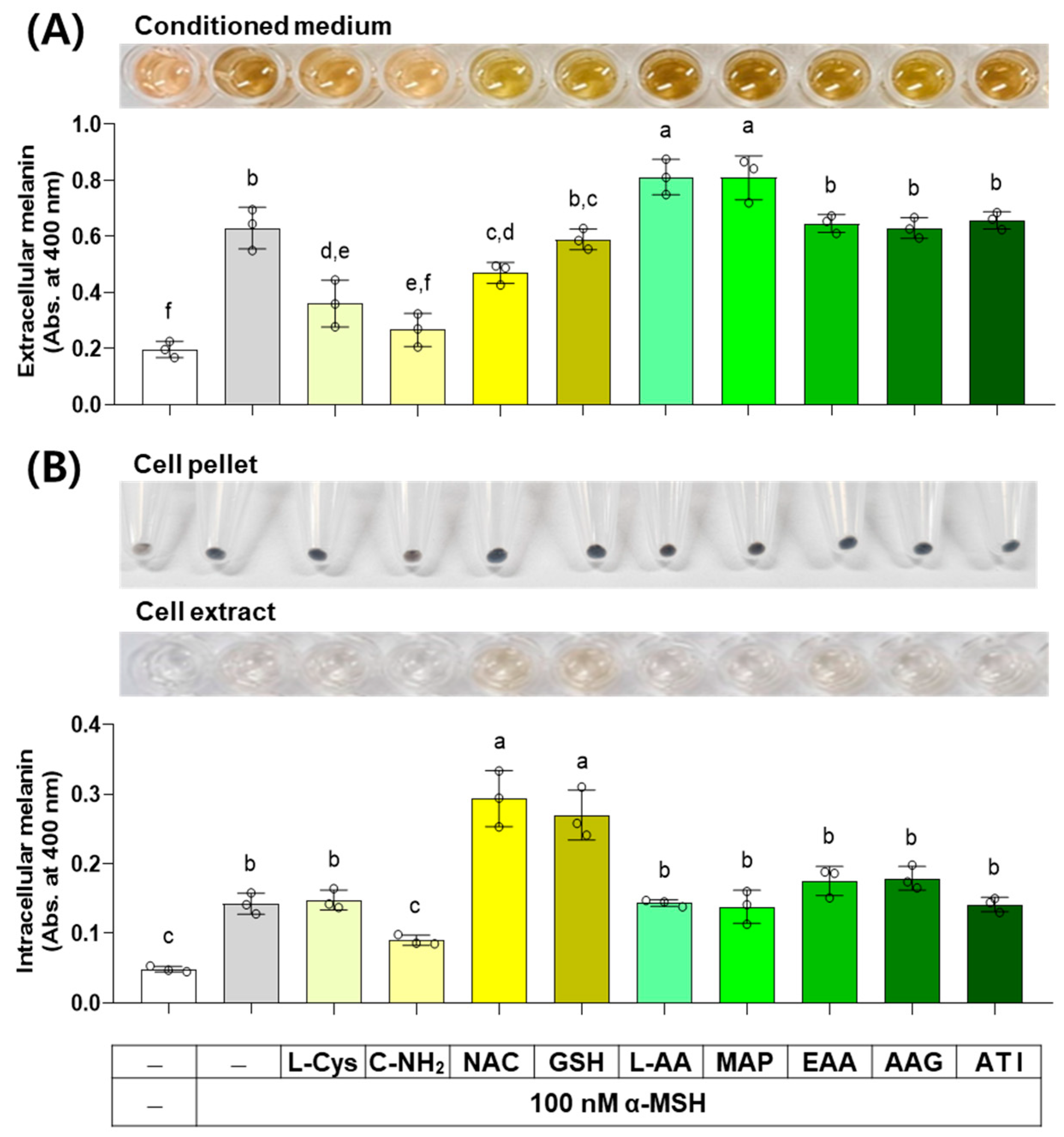 Antioxidants 13 00330 g008