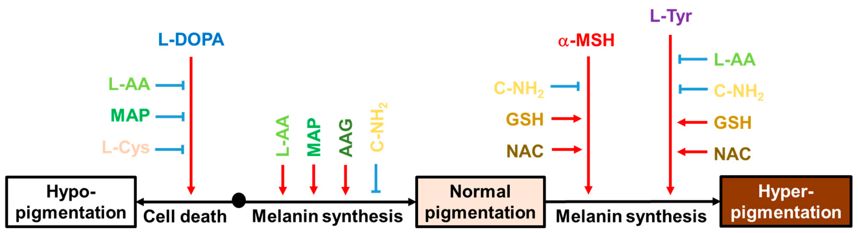 Antioxidants 13 00330 g010