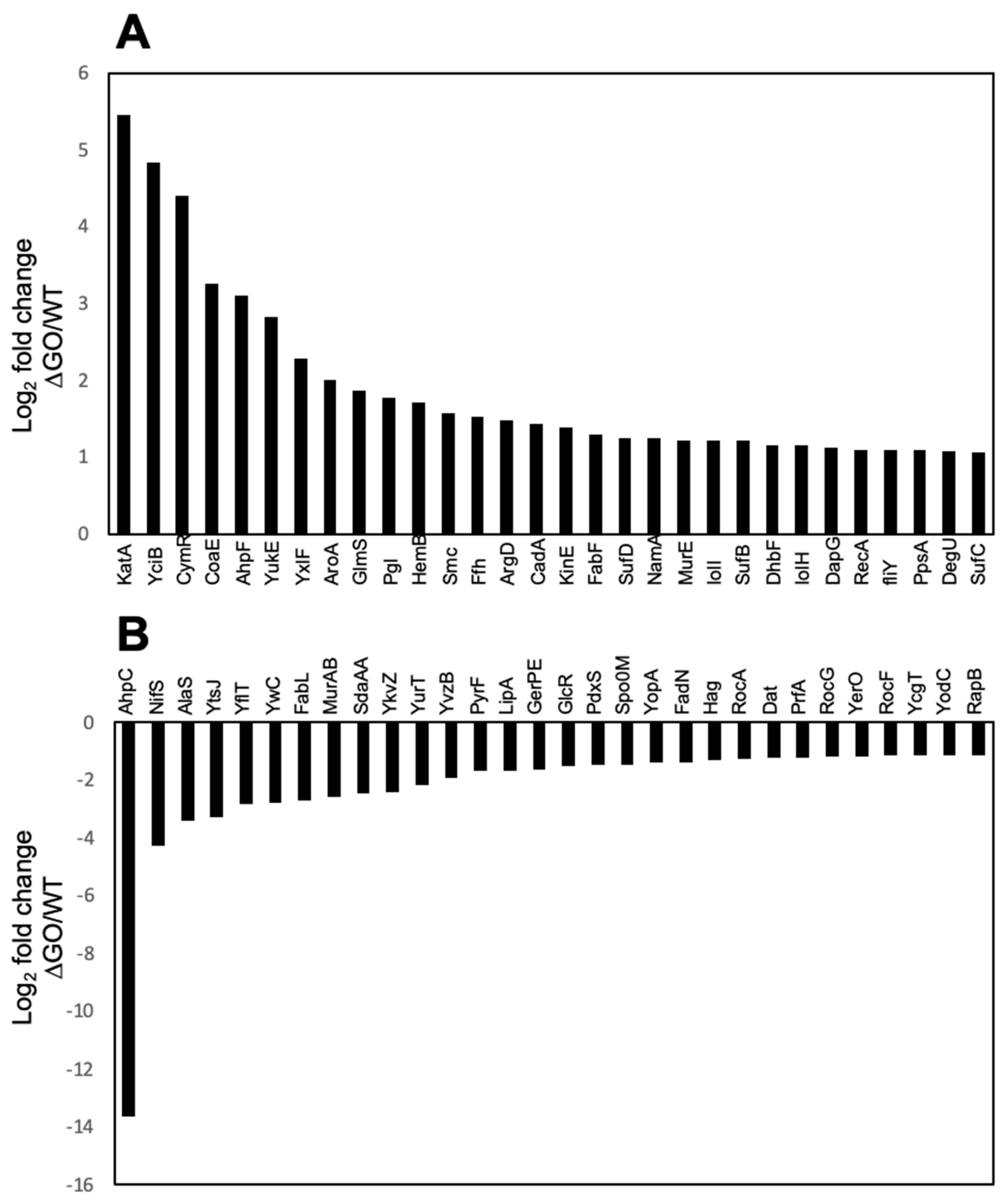 Antioxidants 13 00332 g004