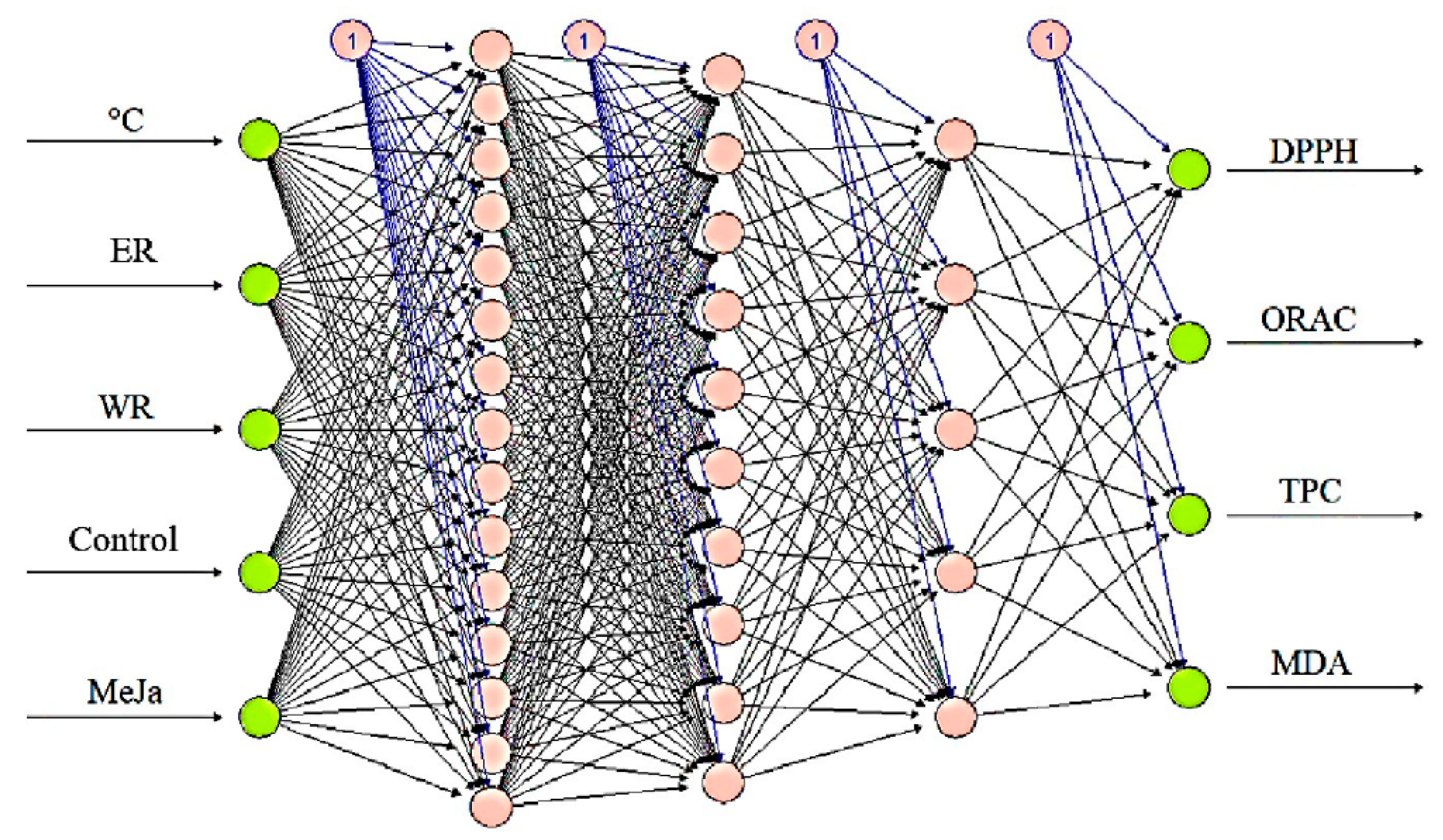 Antioxidants 13 00333 g006