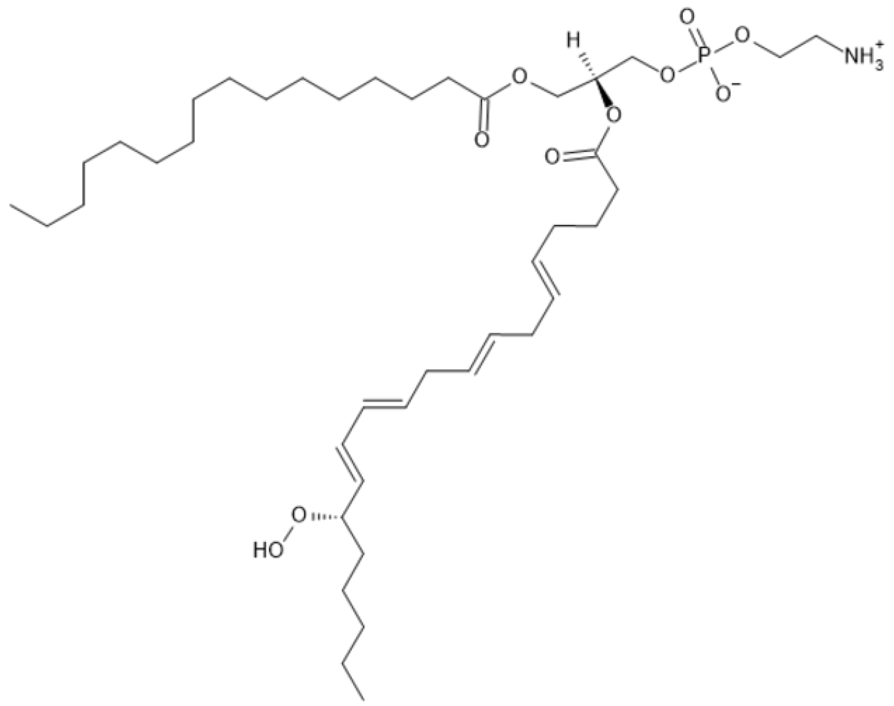 Antioxidants 13 00334 g002