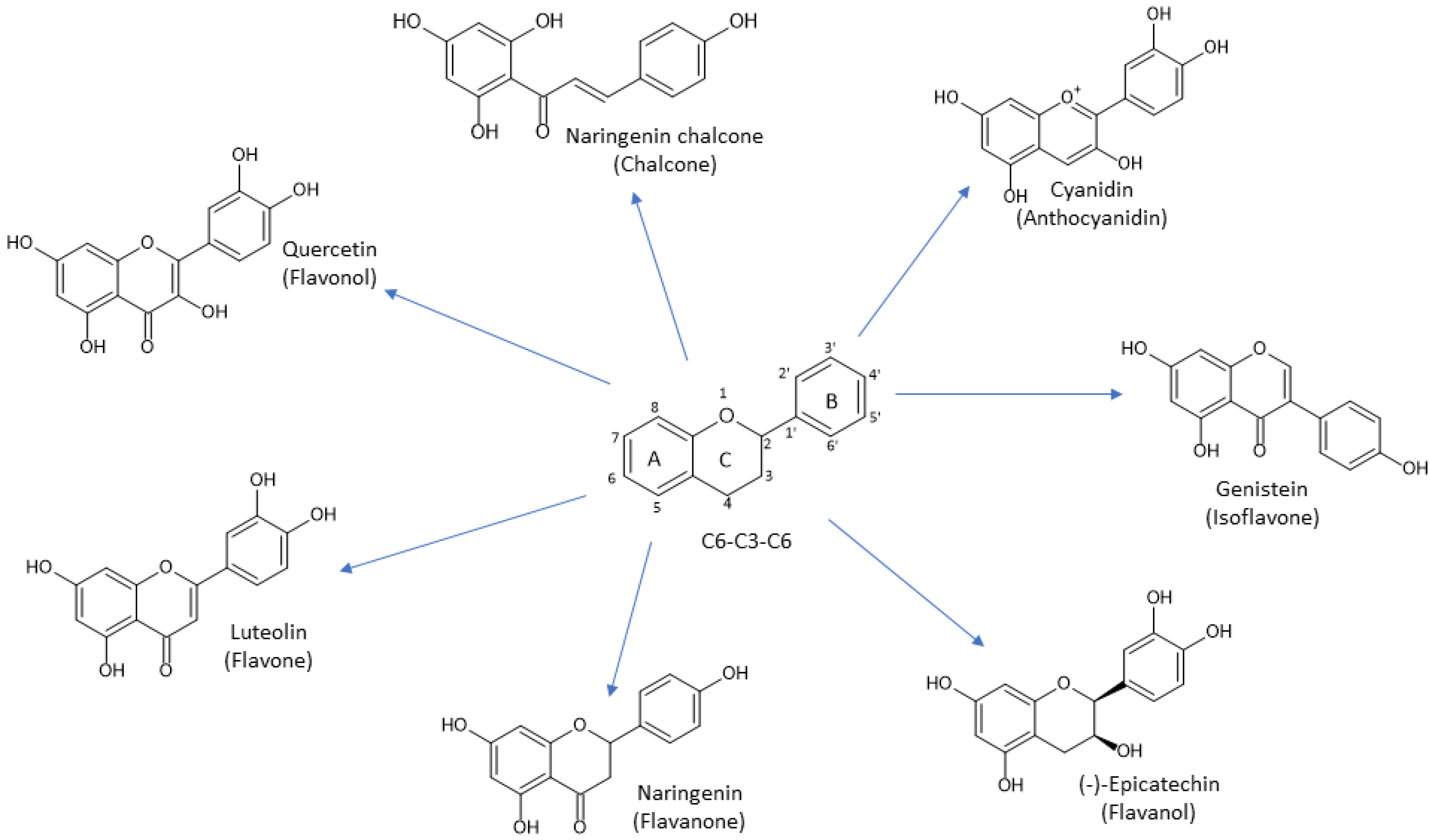Antioxidants 13 00334 g006
