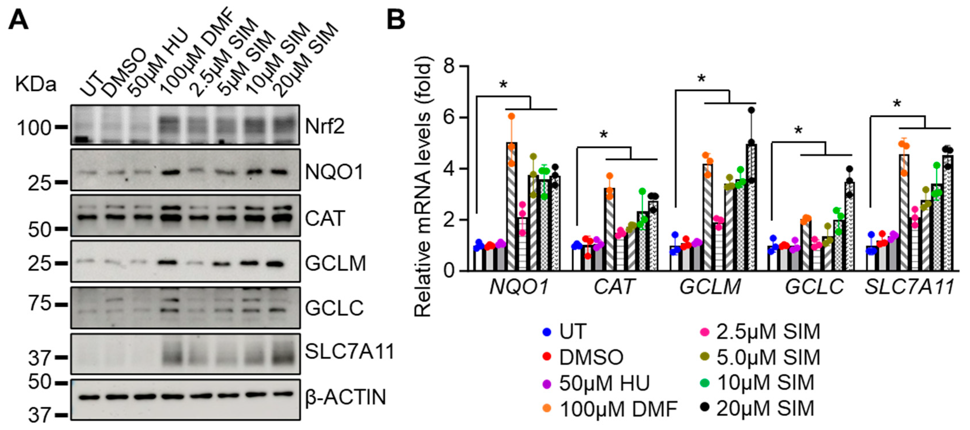 Antioxidants 13 00337 g002