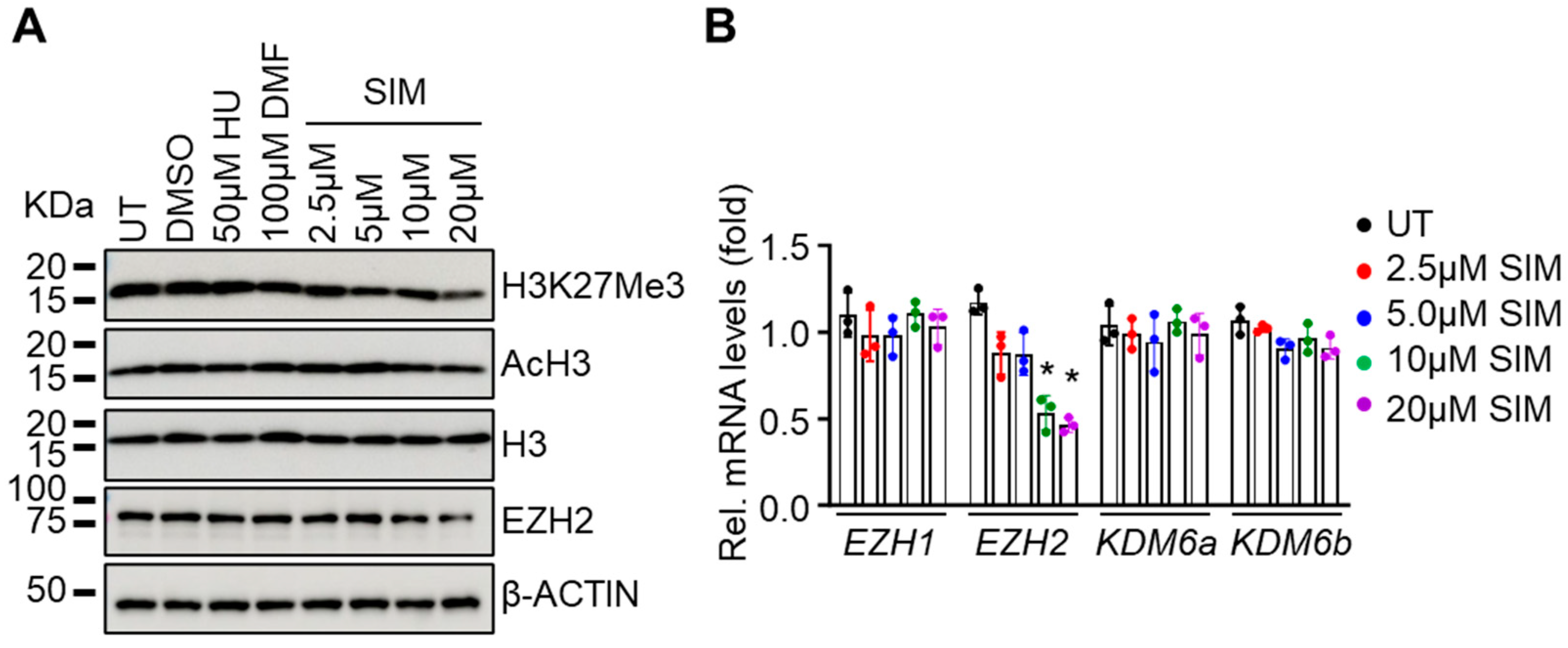 Antioxidants 13 00337 g004
