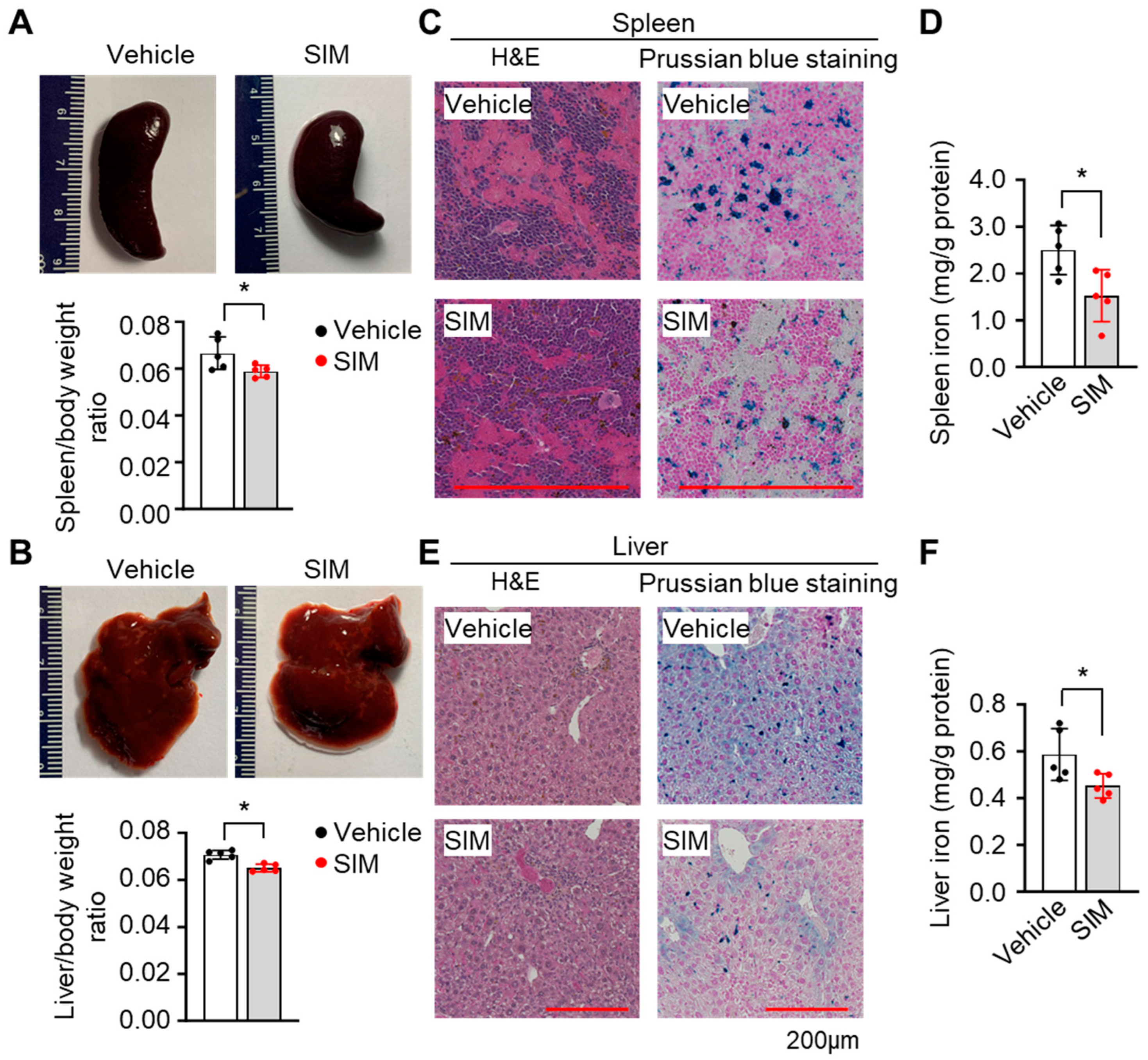 Antioxidants 13 00337 g007