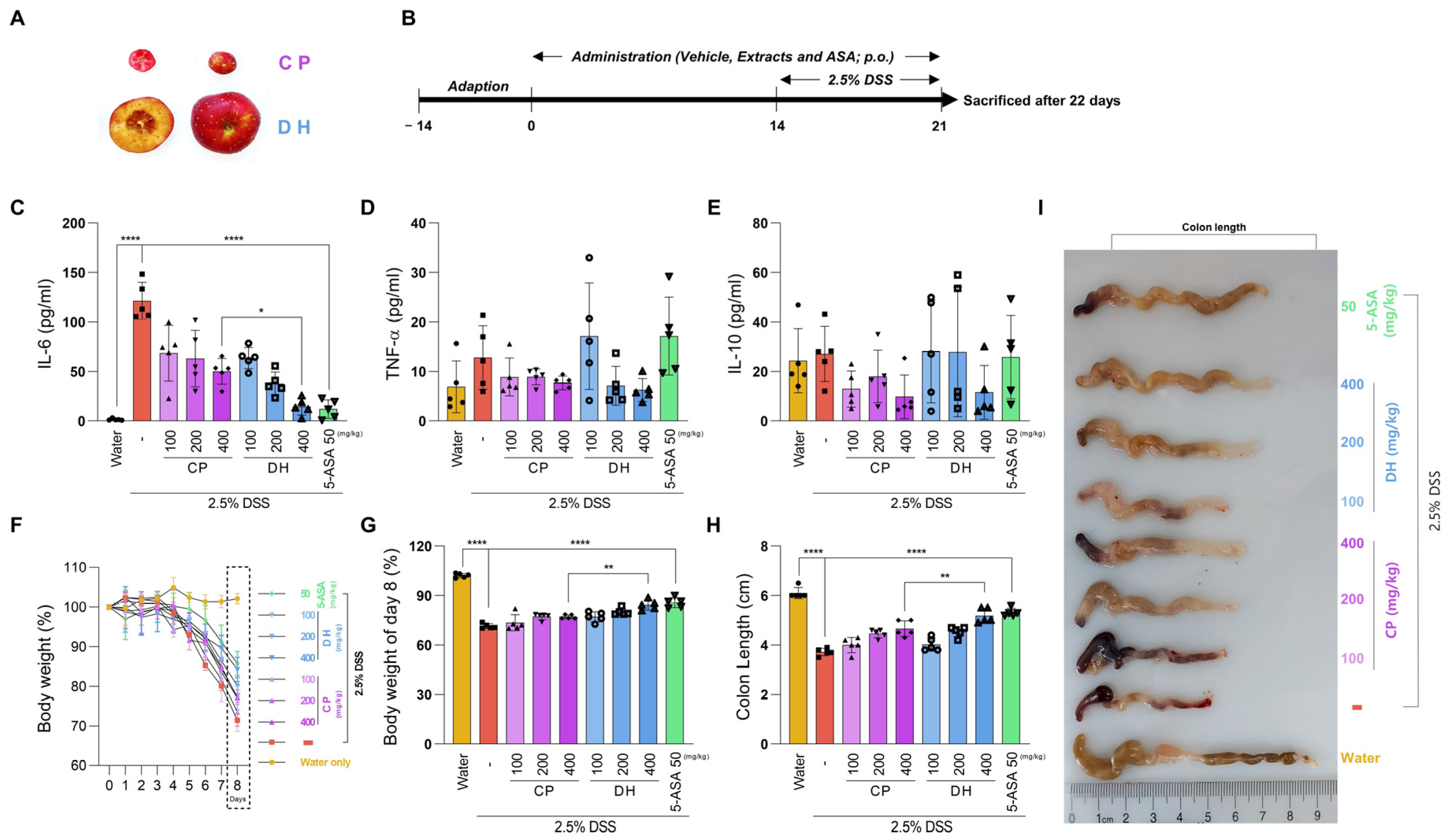 Antioxidants 13 00340 g001