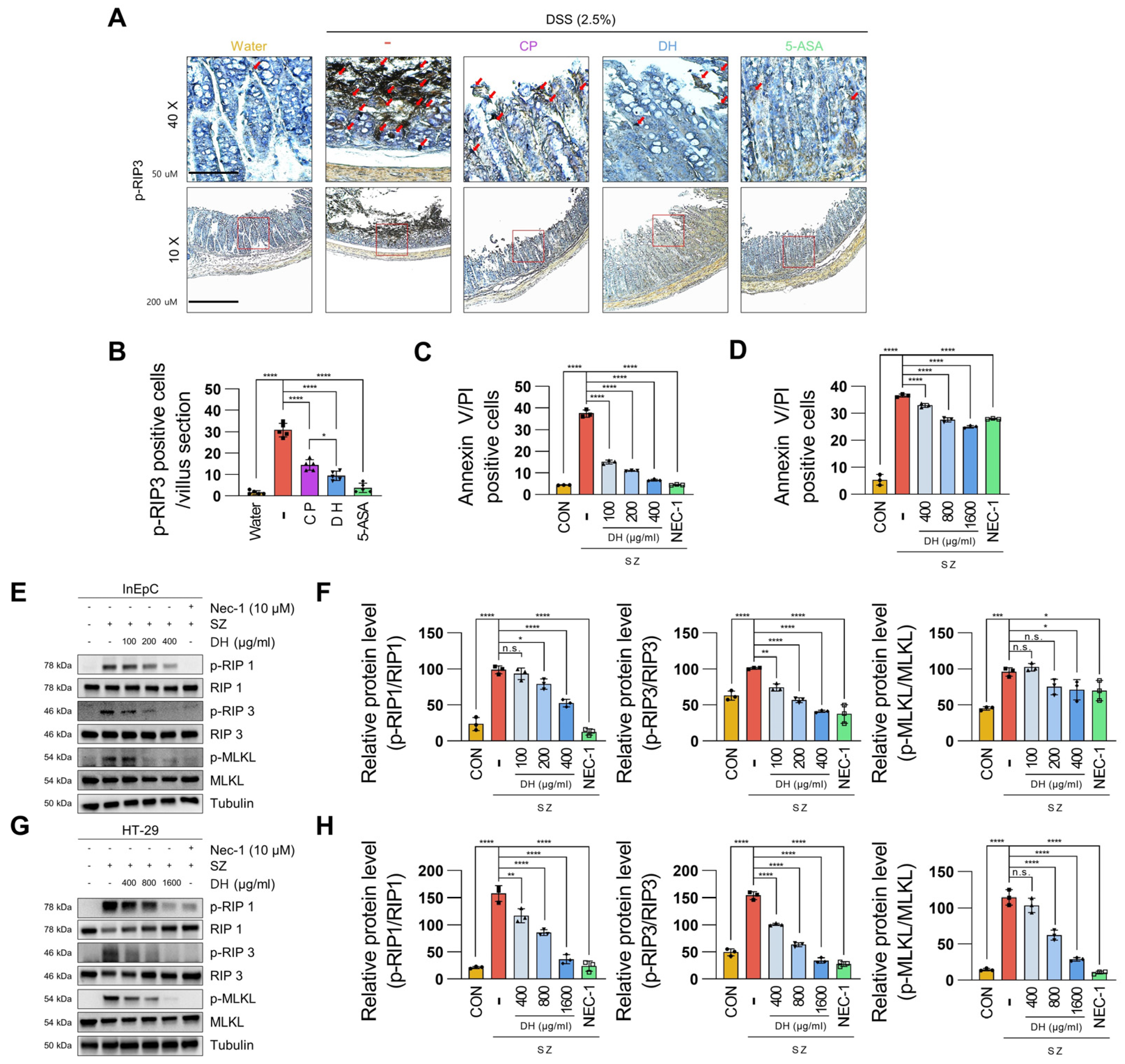 Antioxidants 13 00340 g003