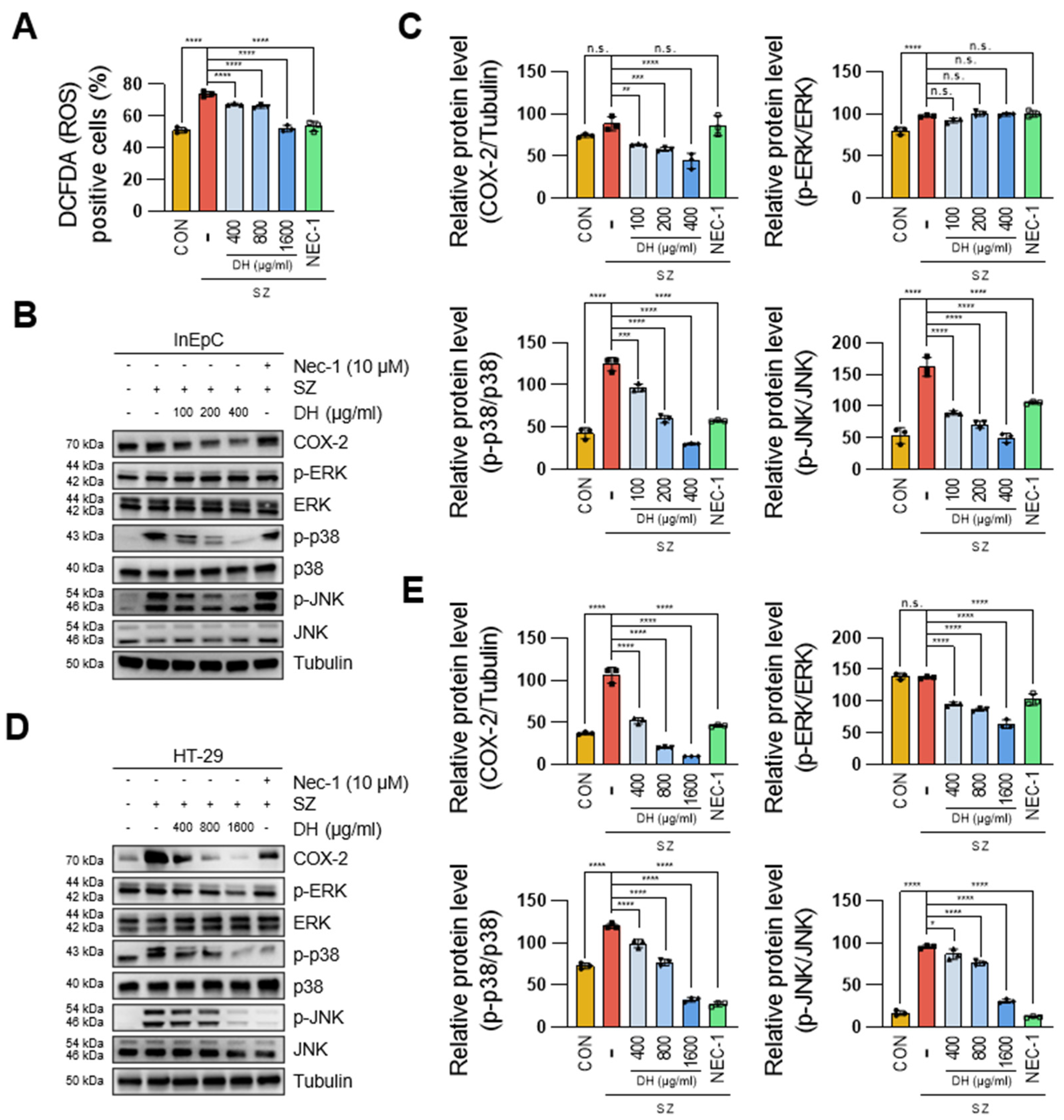 Antioxidants 13 00340 g004