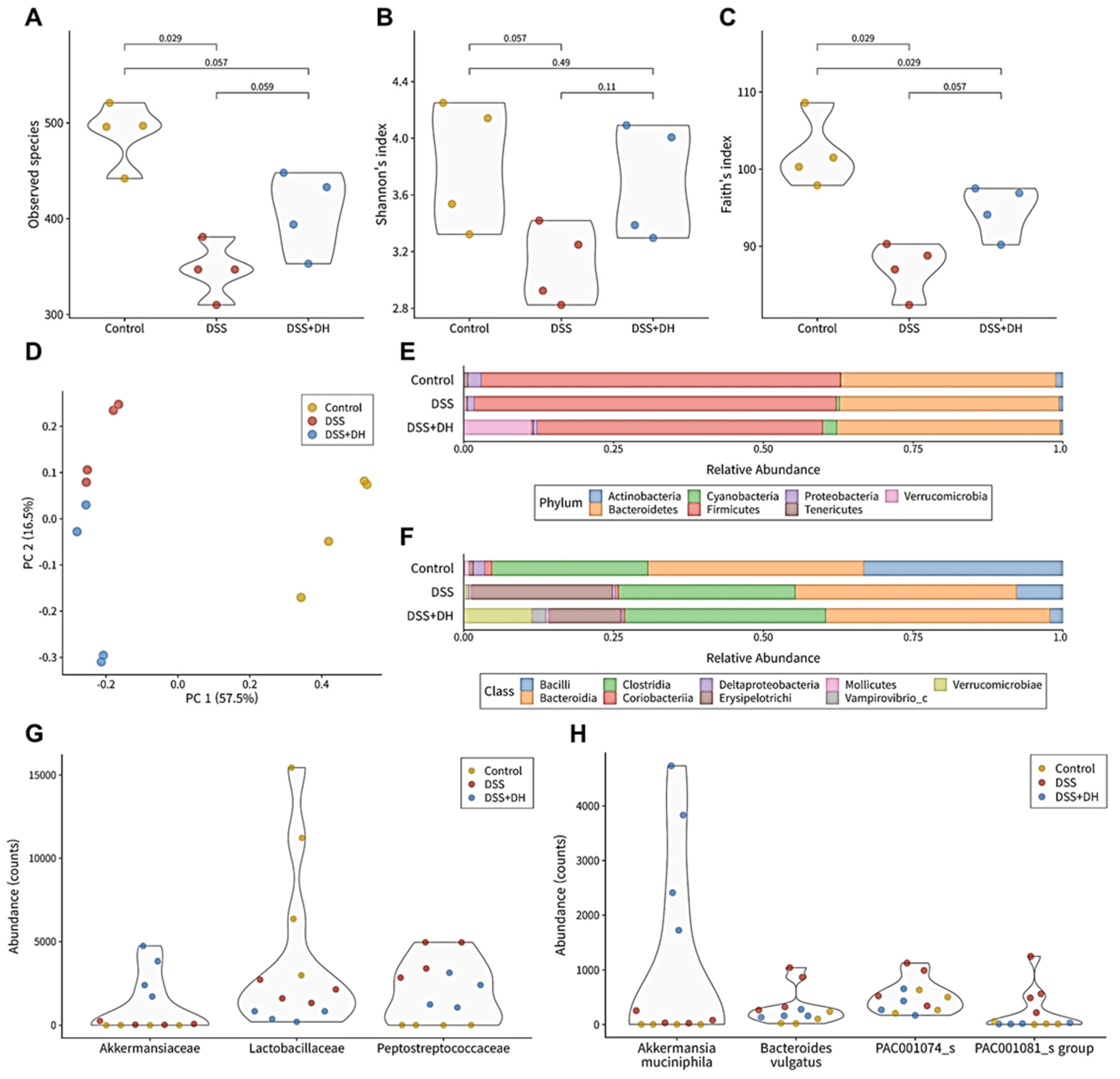 Antioxidants 13 00340 g006
