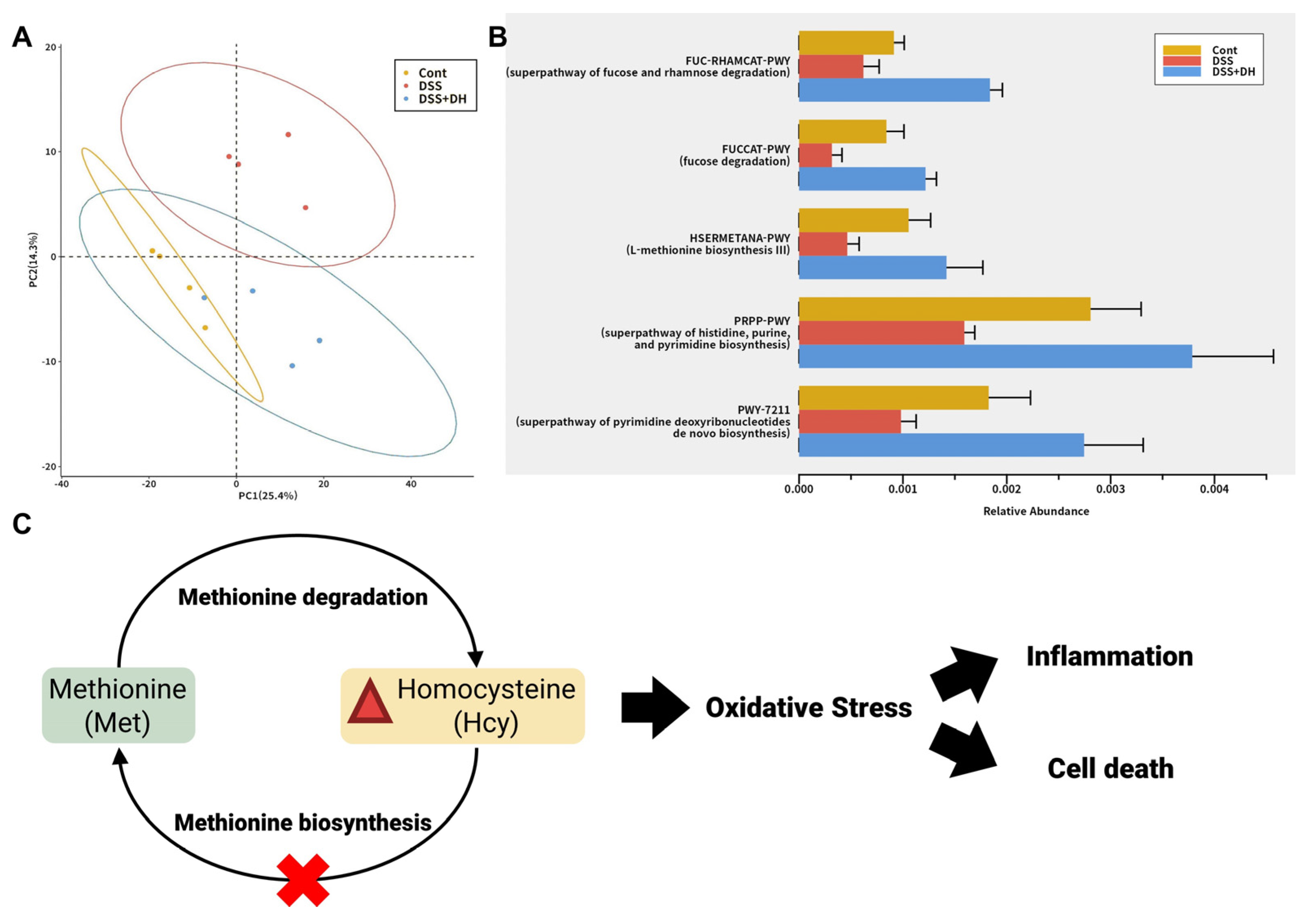 Antioxidants 13 00340 g007