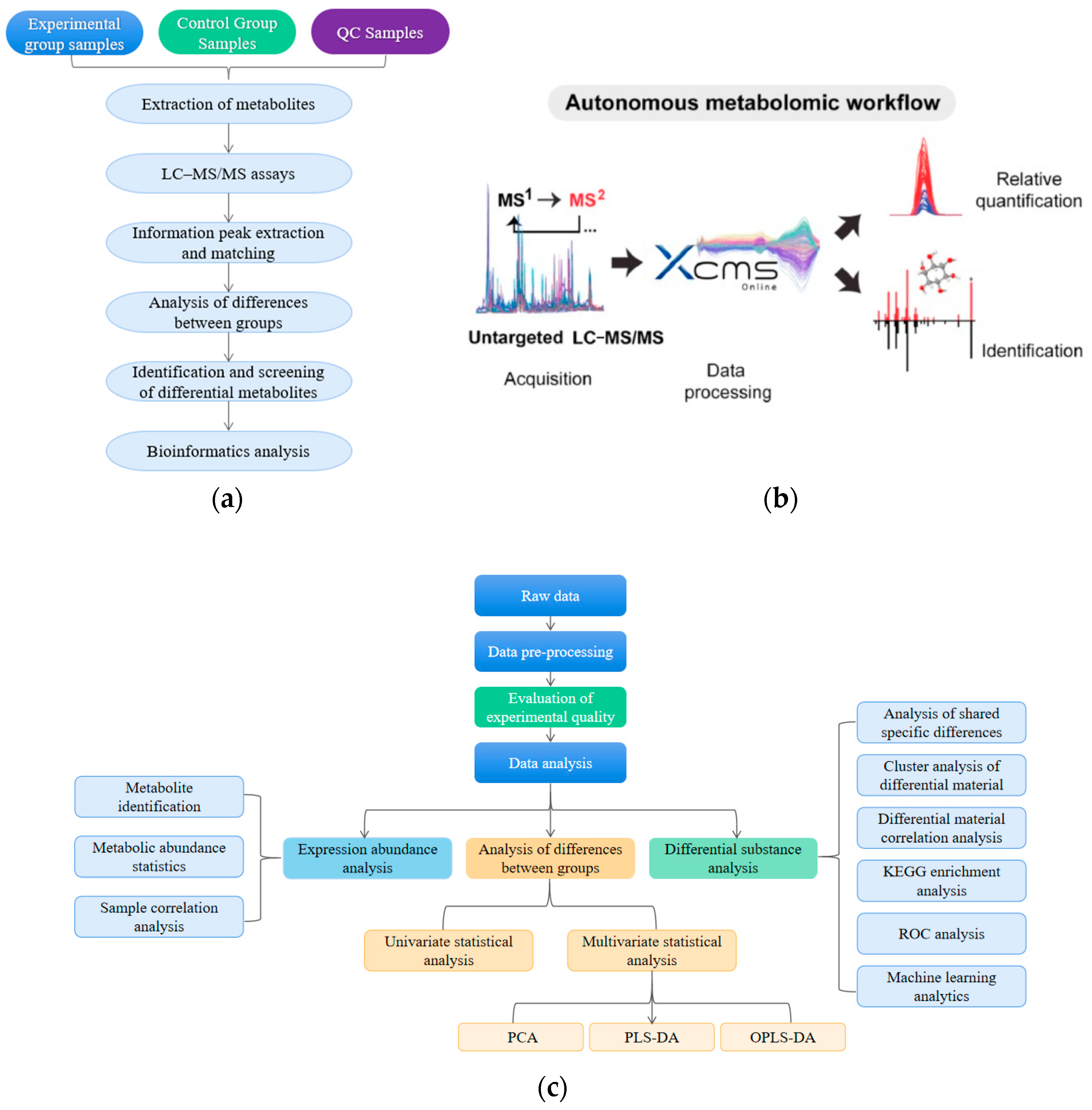 Antioxidants 13 00341 g001