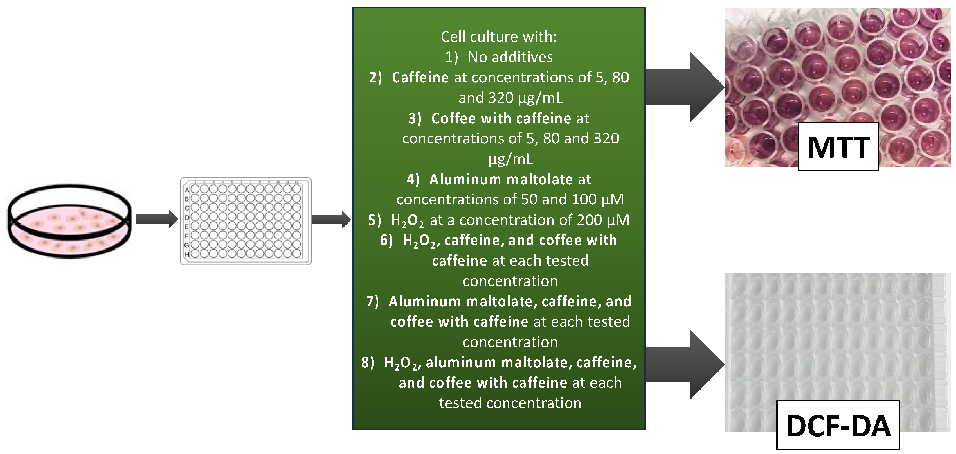 Antioxidants 13 00342 g002