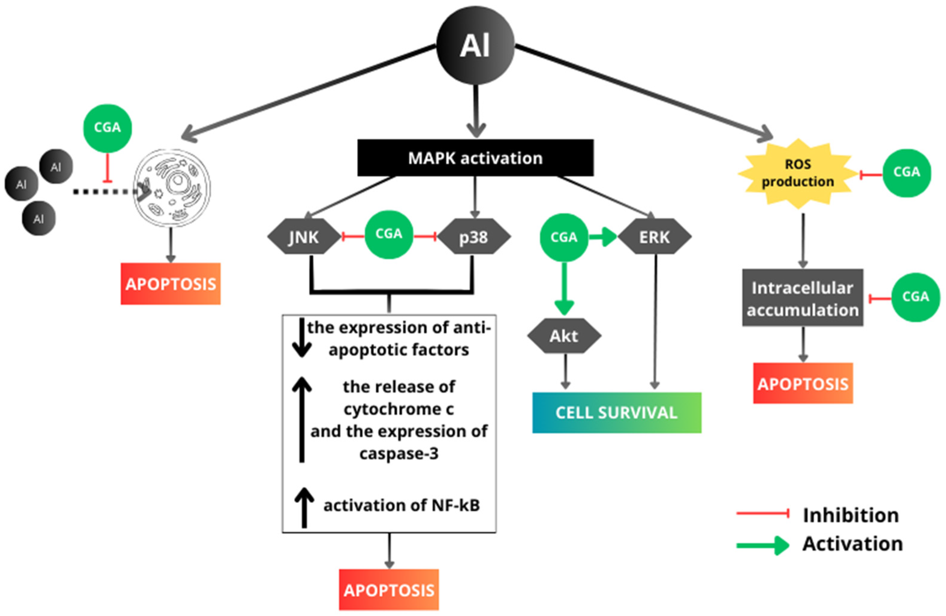 Antioxidants 13 00342 g011