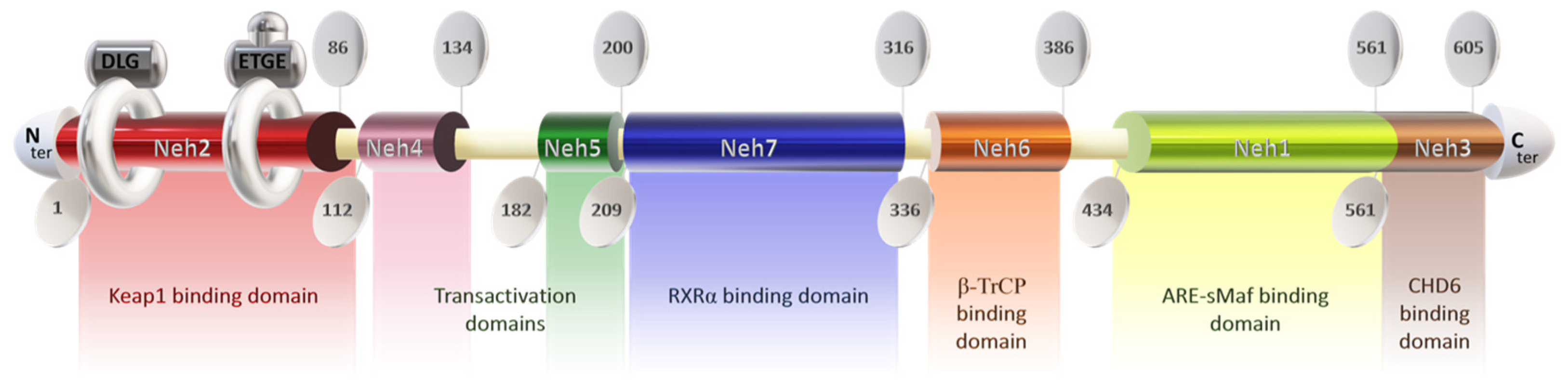 Antioxidants 13 00344 g001