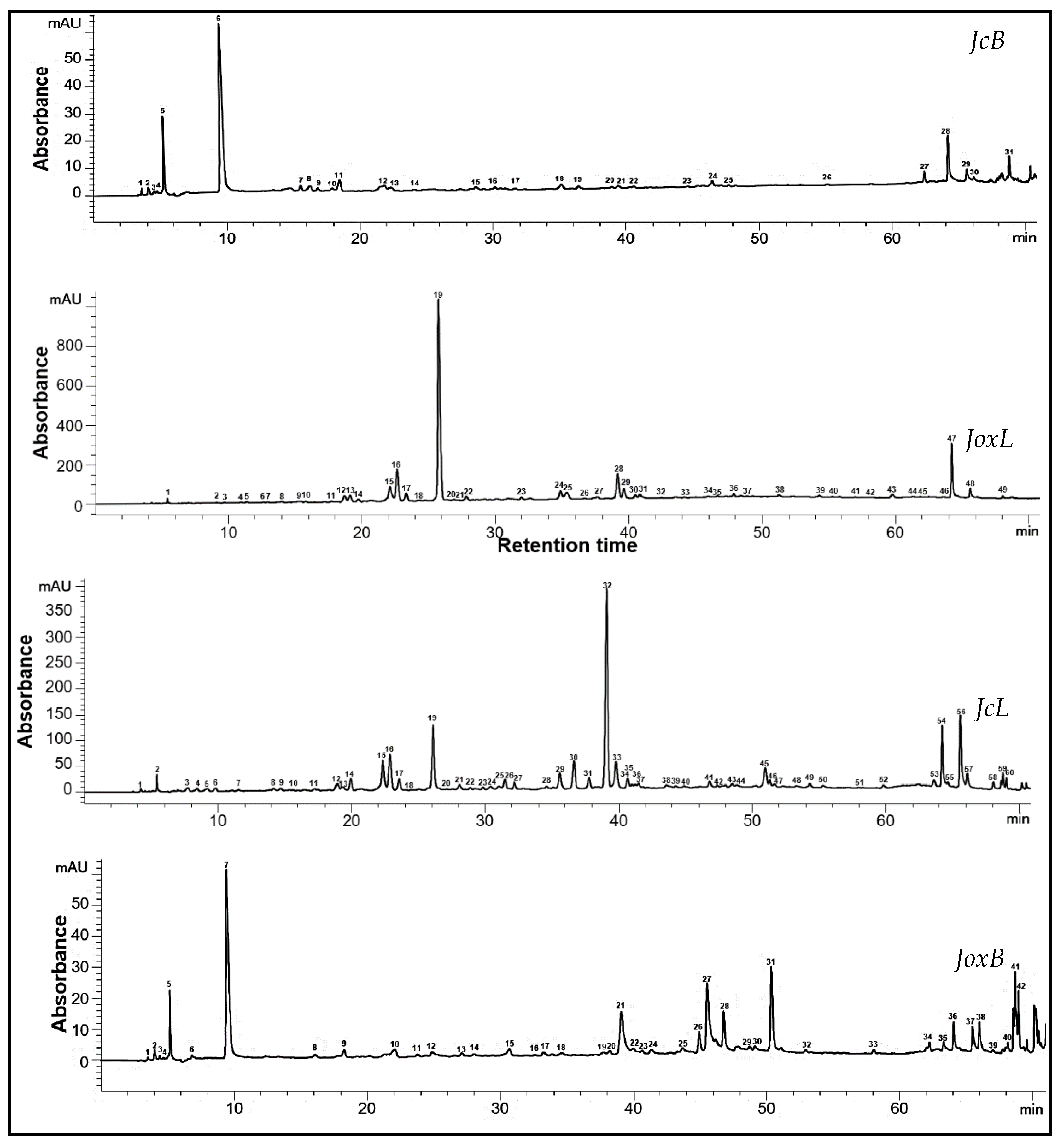 Antioxidants 13 00345 g001