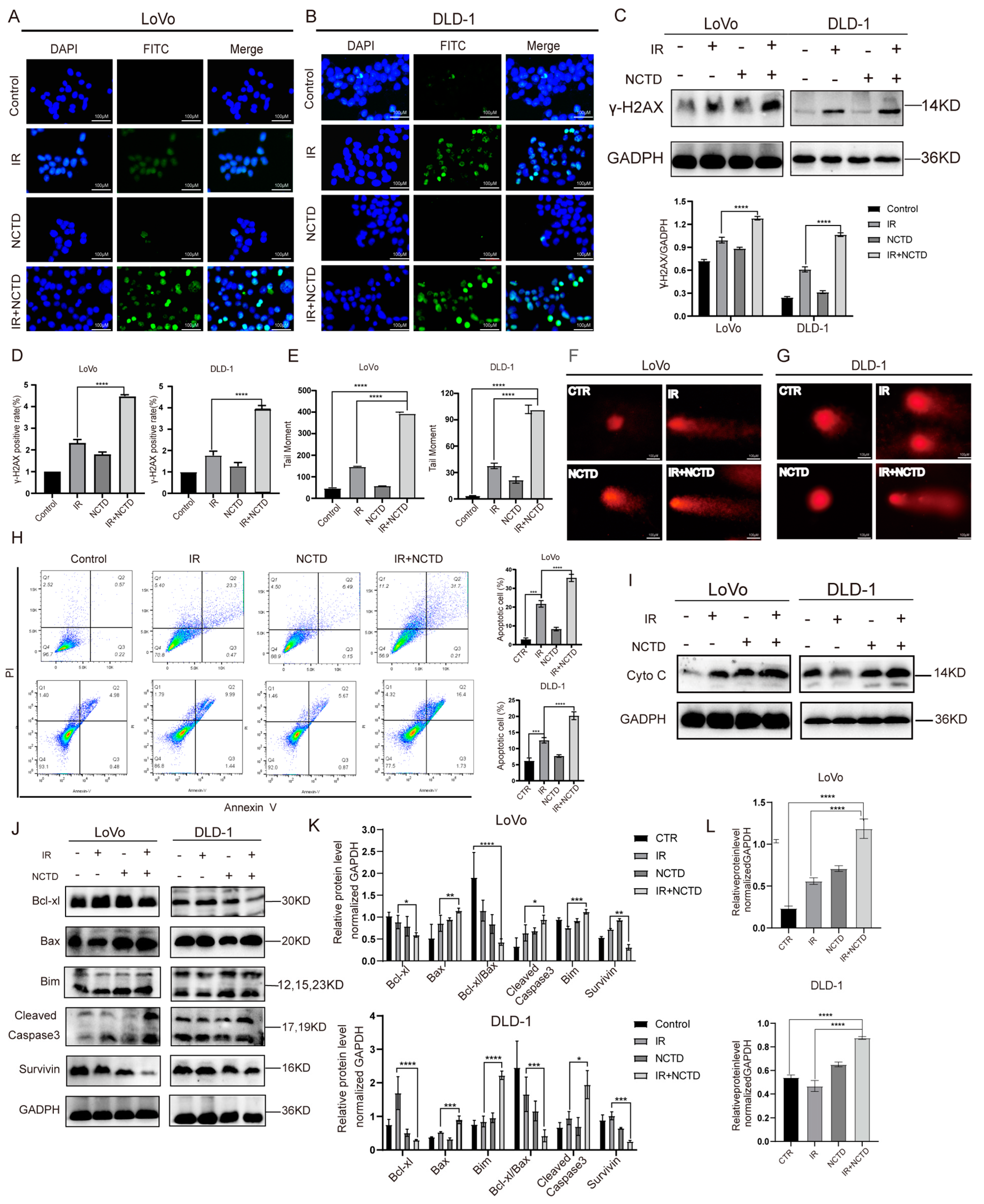 Antioxidants 13 00347 g002