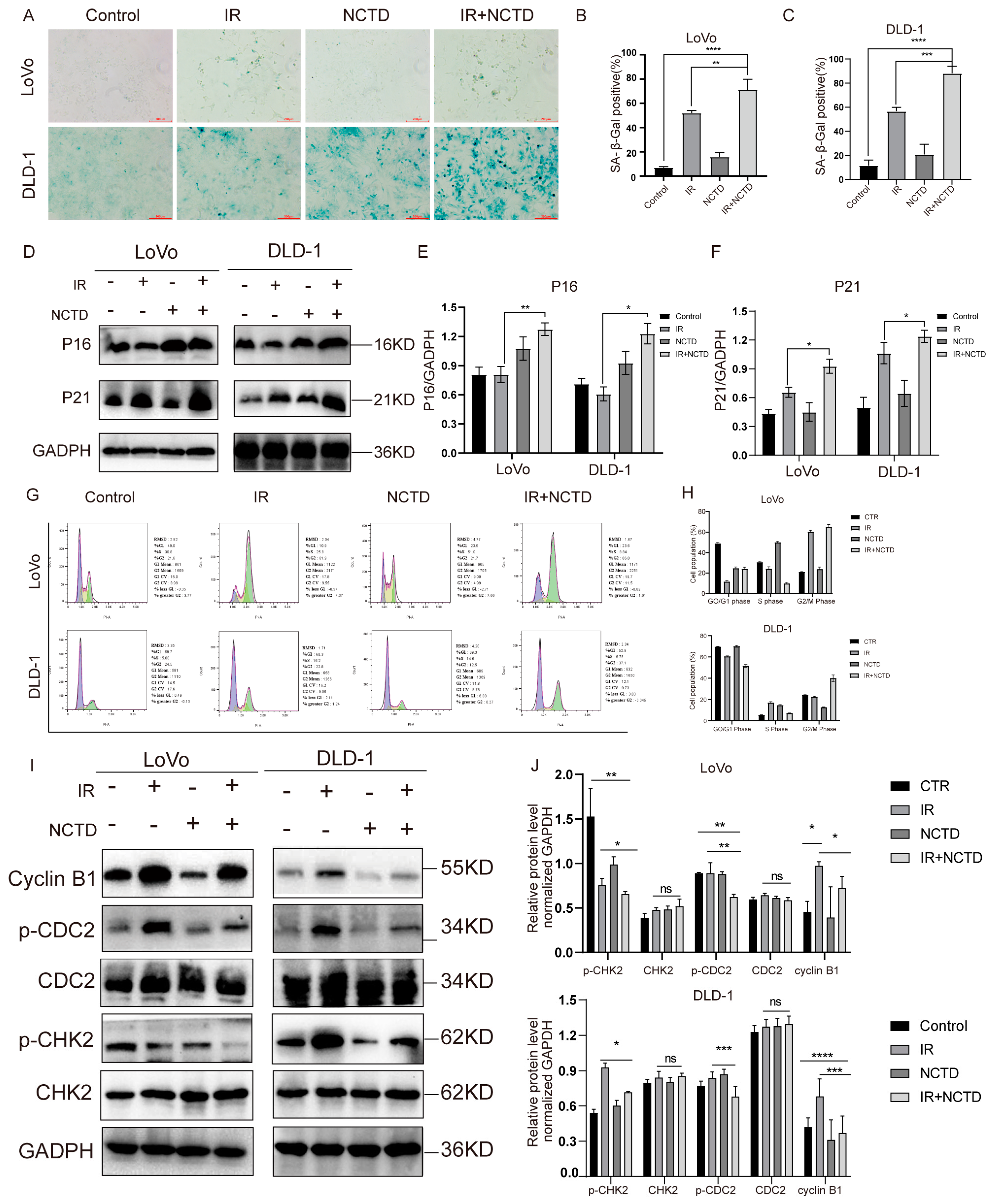 Antioxidants 13 00347 g003