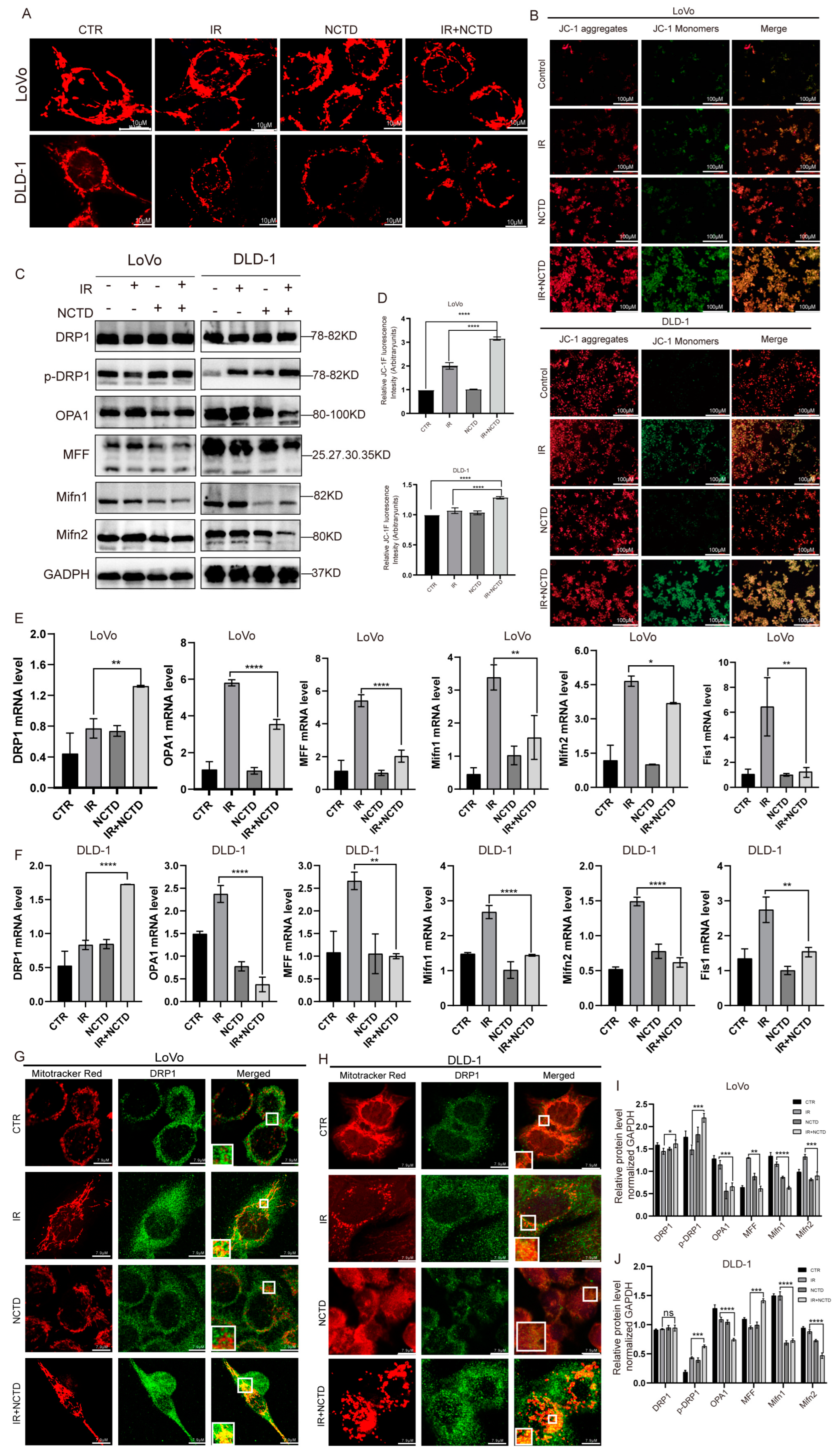 Antioxidants 13 00347 g004