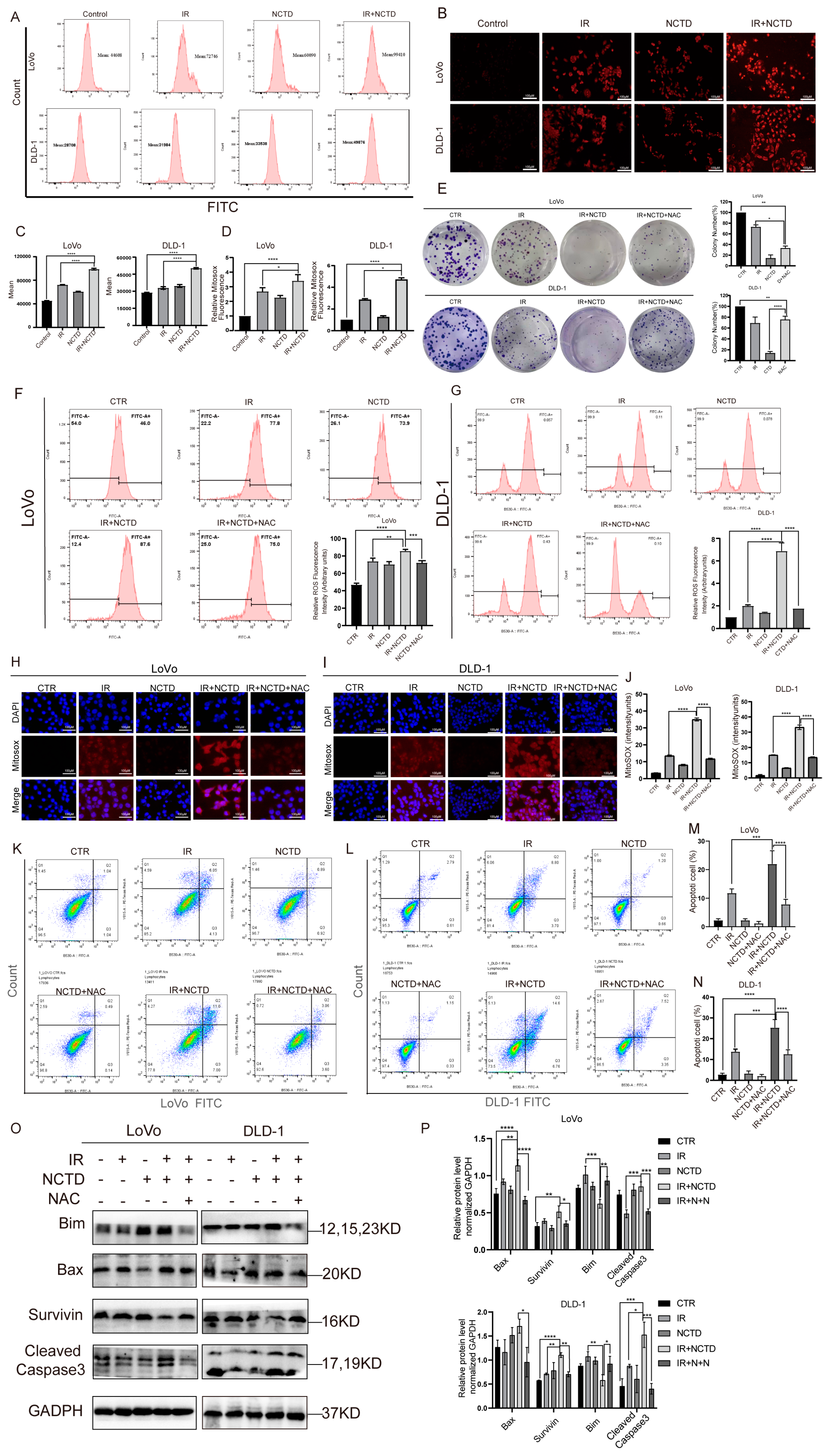 Antioxidants 13 00347 g005