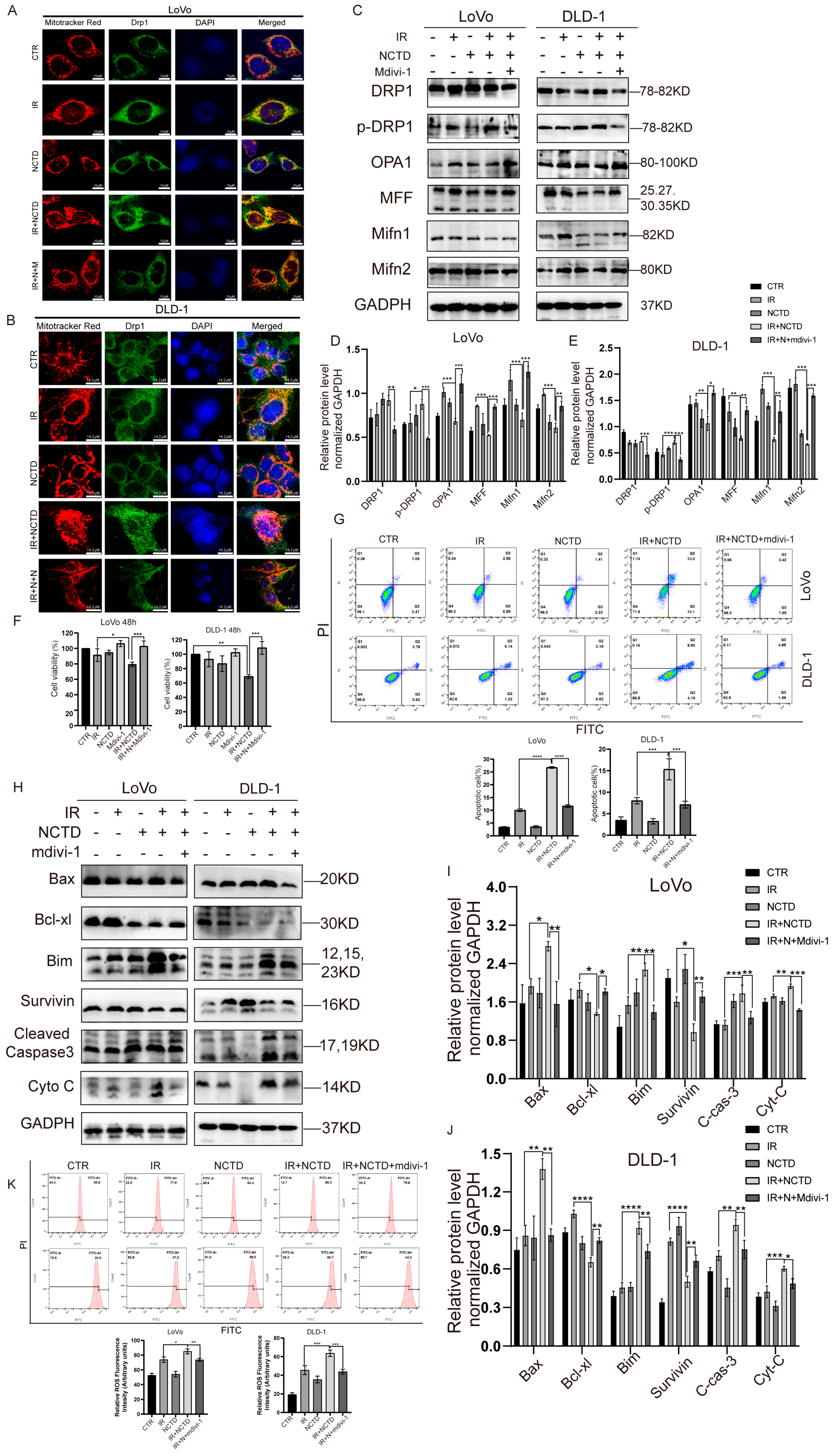 Antioxidants 13 00347 g007