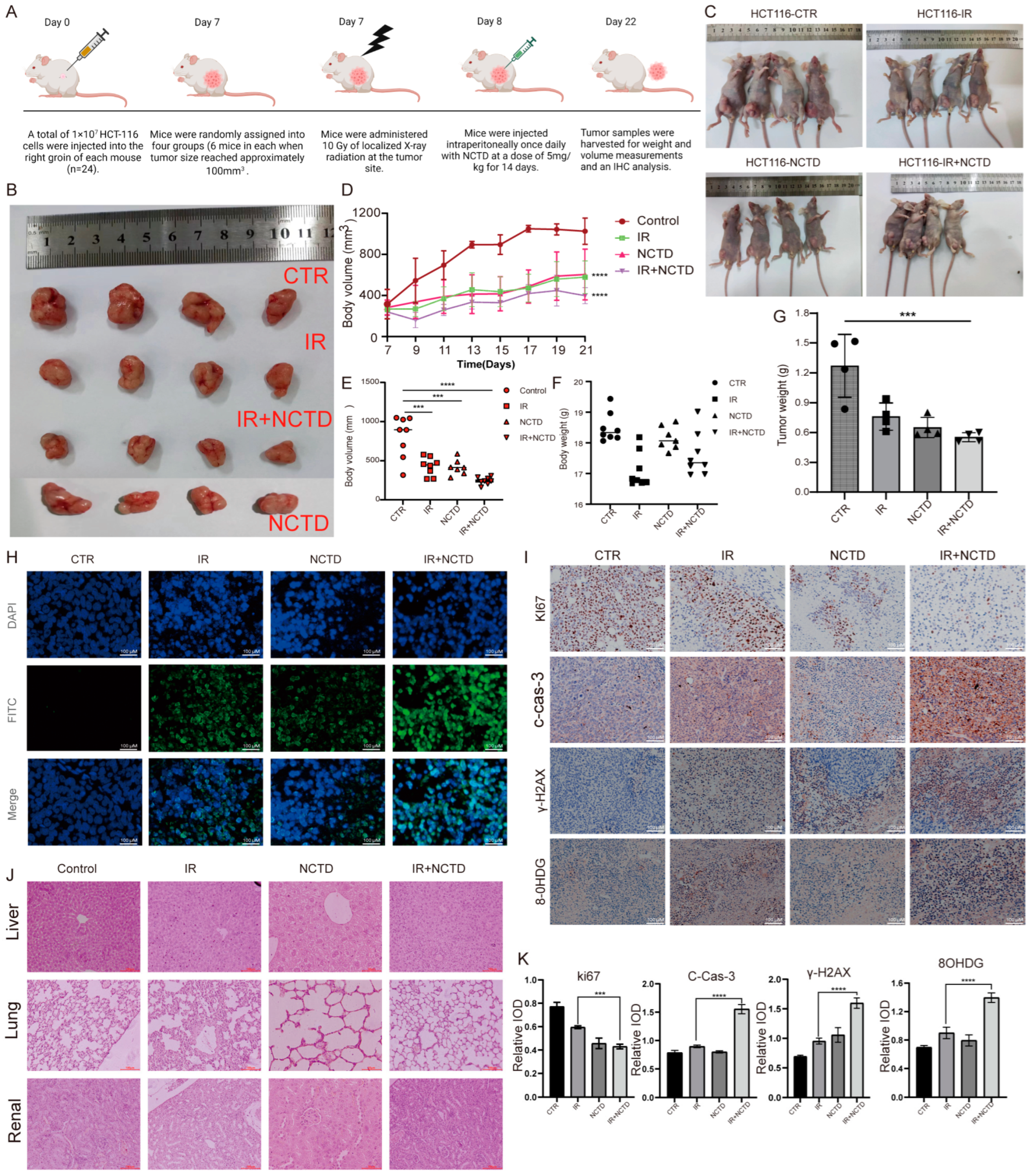 Antioxidants 13 00347 g008